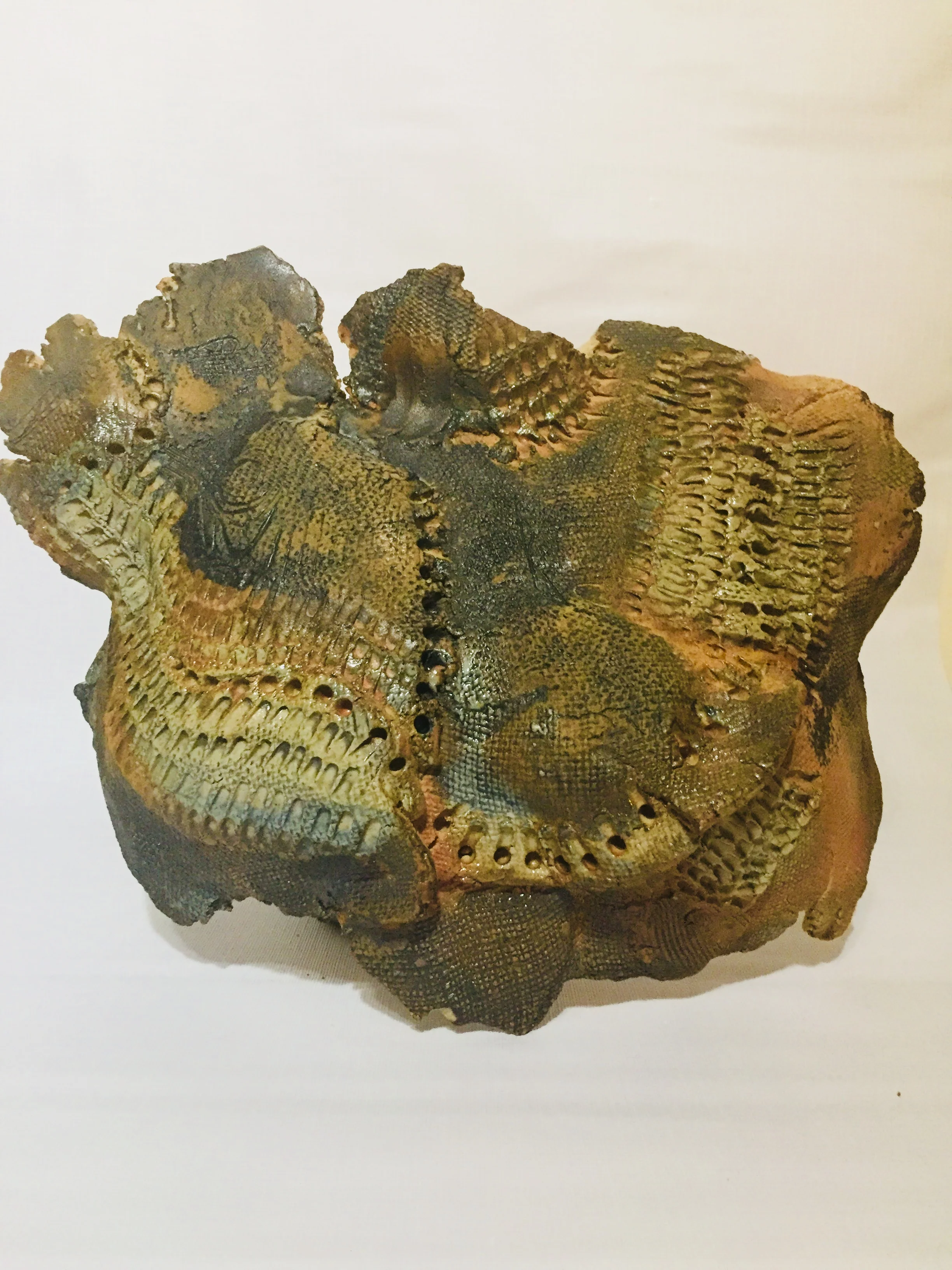 Spinozzi-11 (7).JPG