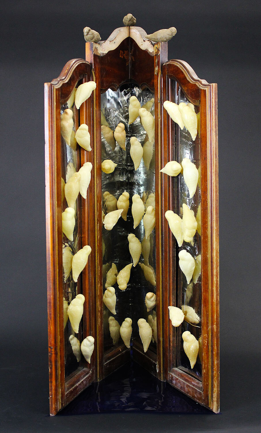 Spinozzi_BirdMirror_1sm.jpg