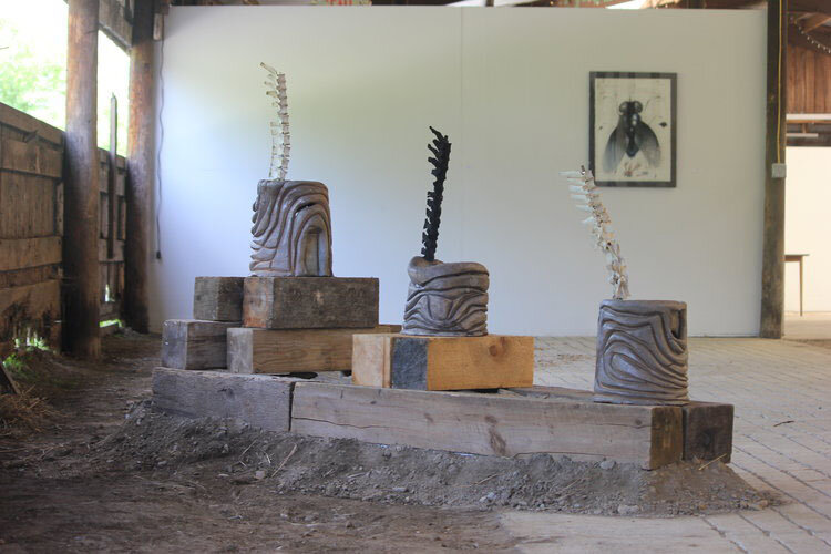 Spinozzi_spines_sm.jpg