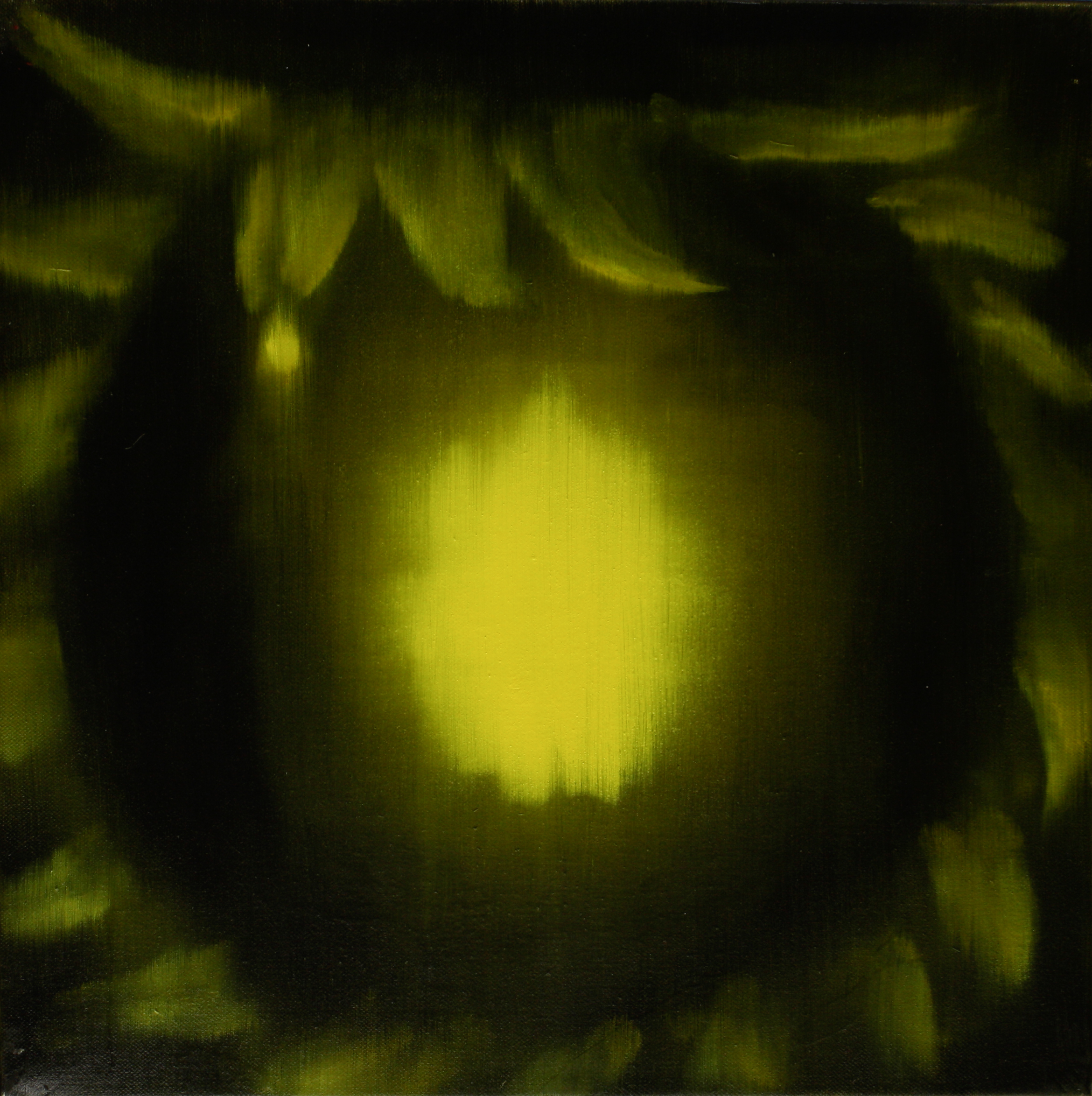Ross Bleckner, Untitled 2009 18 x 18 in Oil on canvas