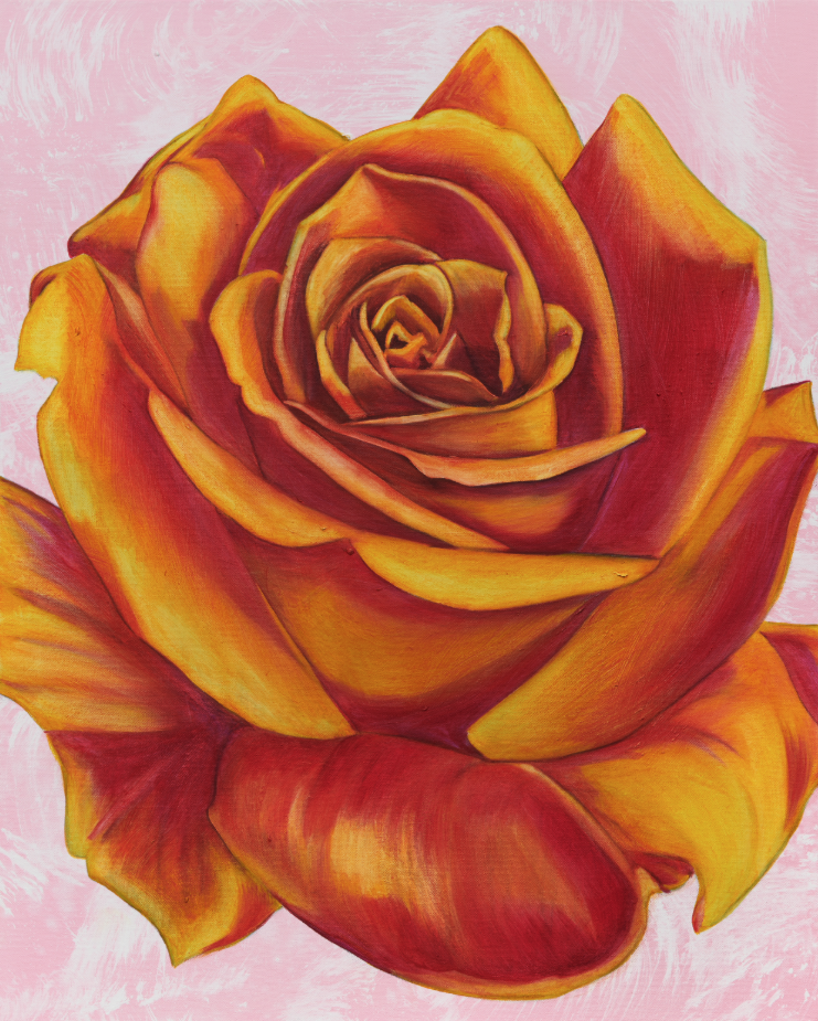 John Newsom, Tender Blossoming 2019 ’Meadow Paintings’ Series 30 x 24 in Oil on canvas