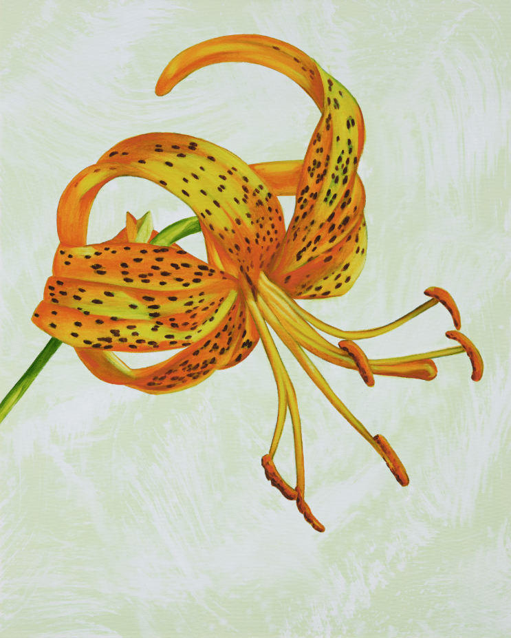 John Newsom, Clearly Now 2019 ’Meadow Paintings’ Series 30 x 24 in Oil on canvas