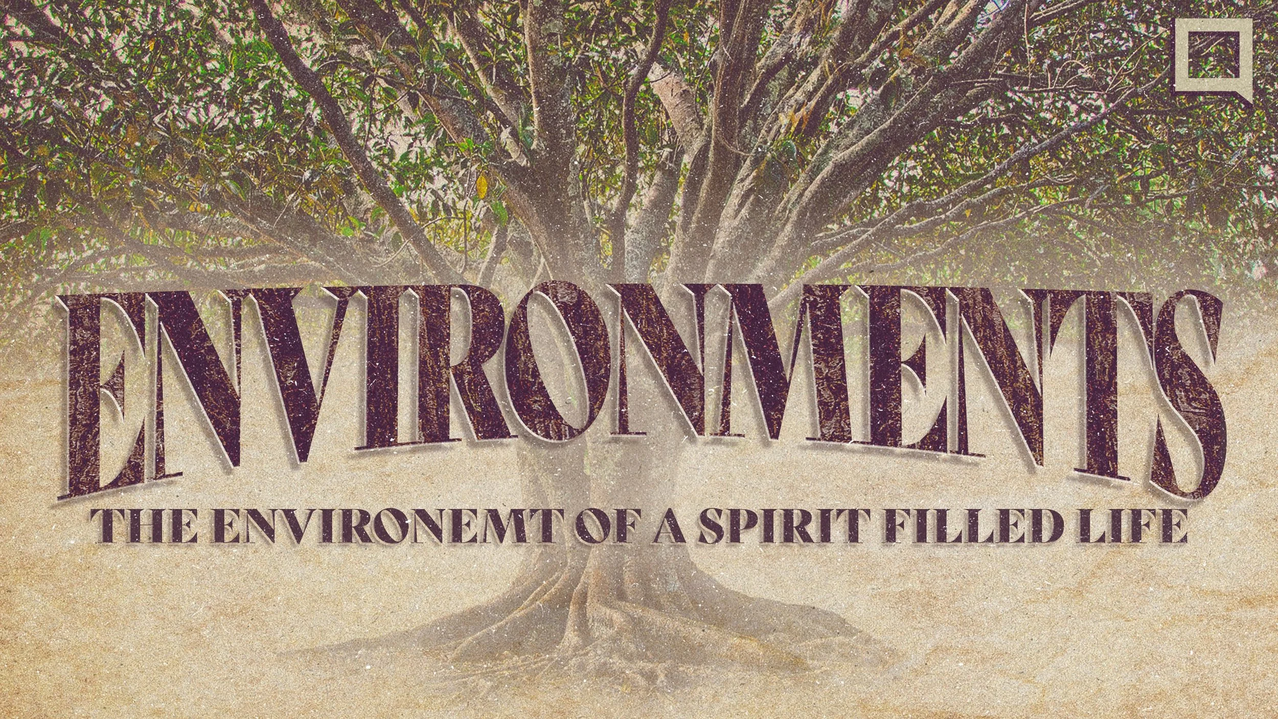 January 2024 / February 2024