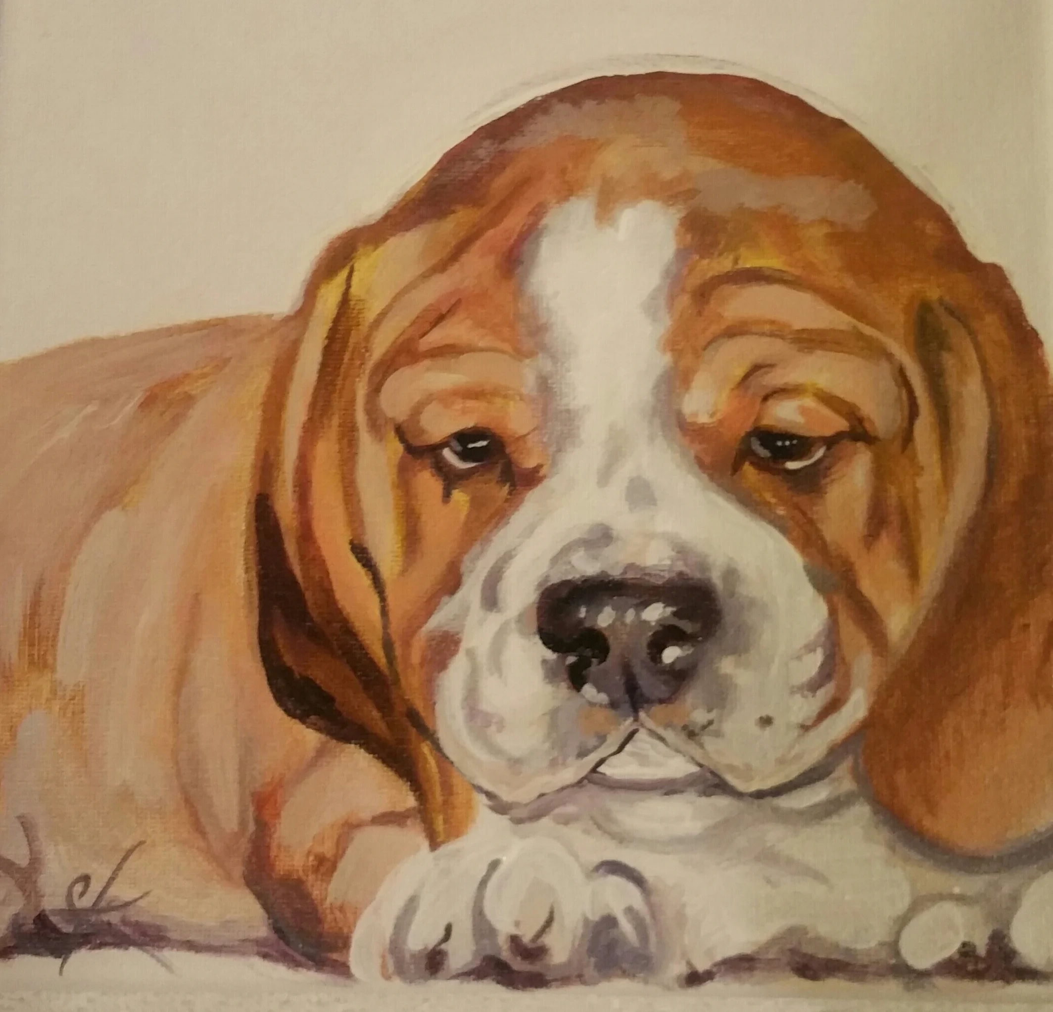 2016-05-07 03.08.02.jpg