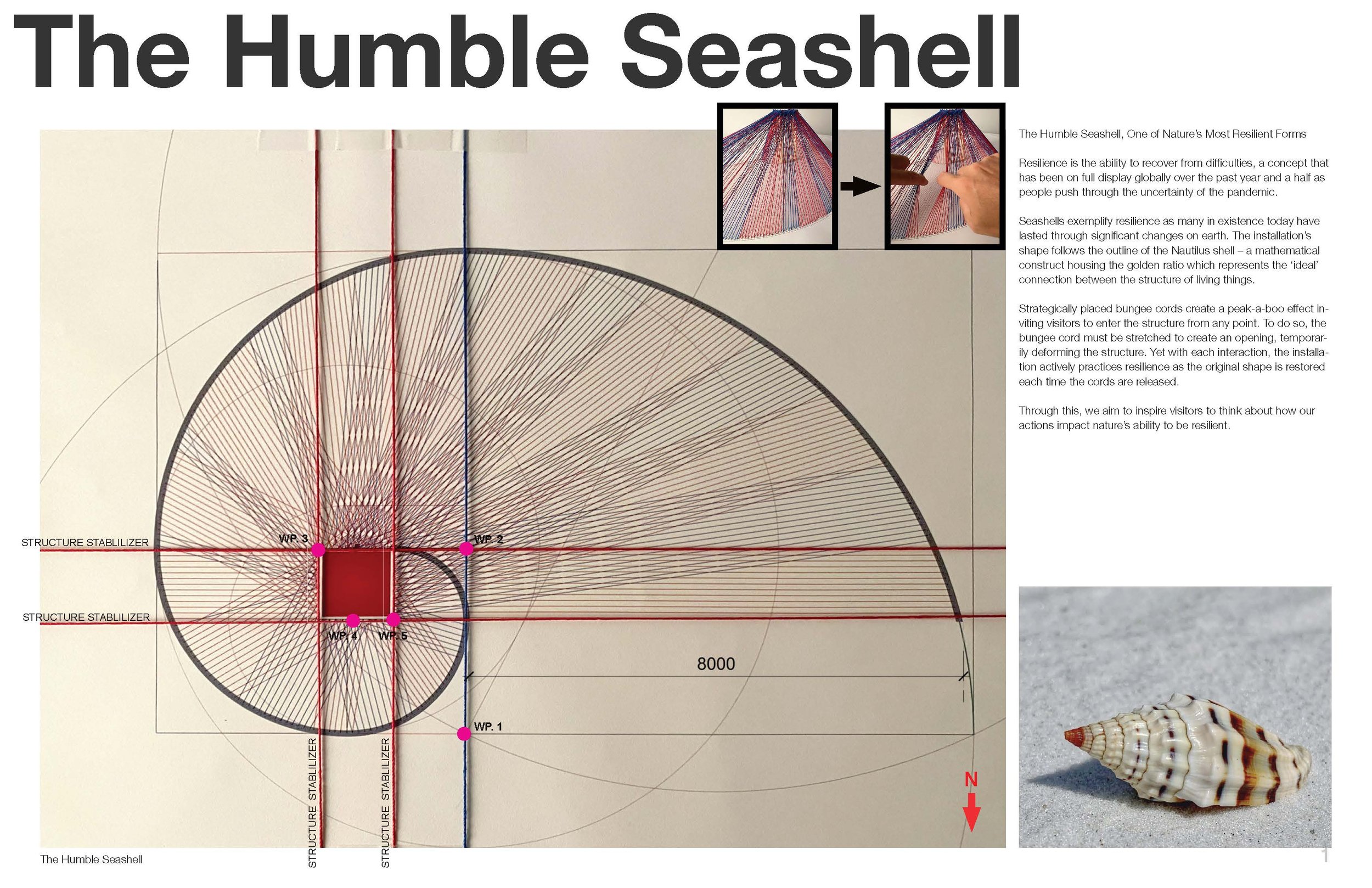 The Humble Seashell_Page_1.jpg