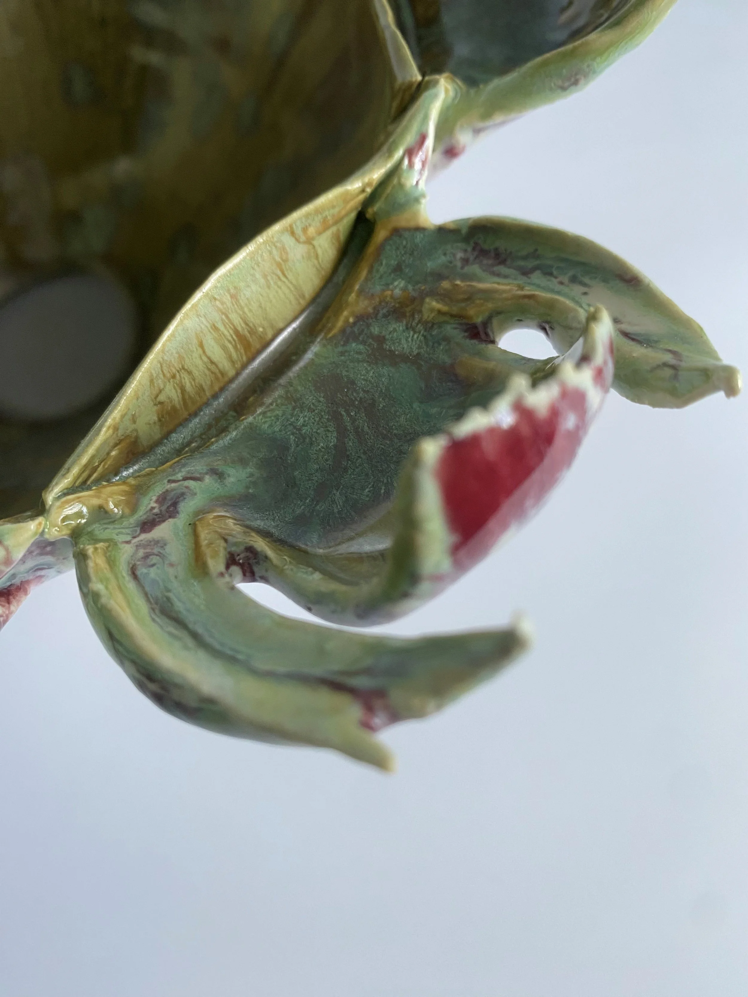 Radicchio_close up 01.jpg