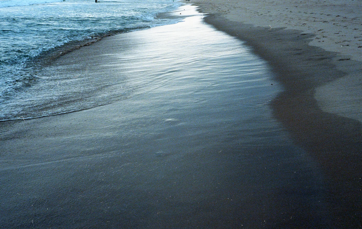 img310.jpg