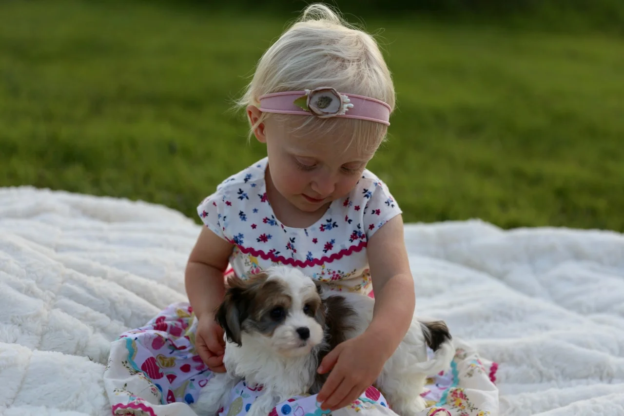 Puppy+with+little+girl.jpeg
