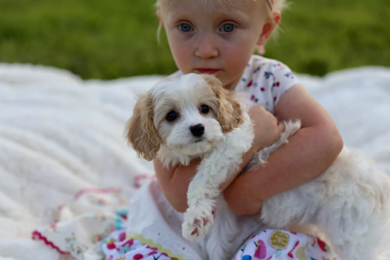 Little girl with puppy worried about fleas.jpeg