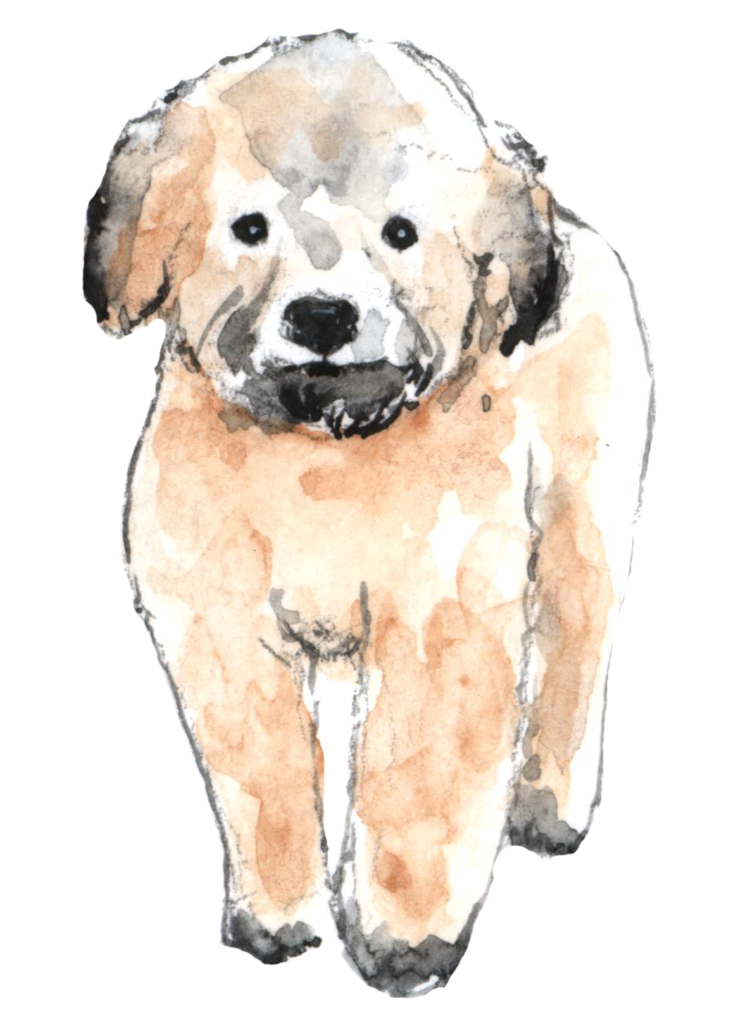 dirty+puppies1.png