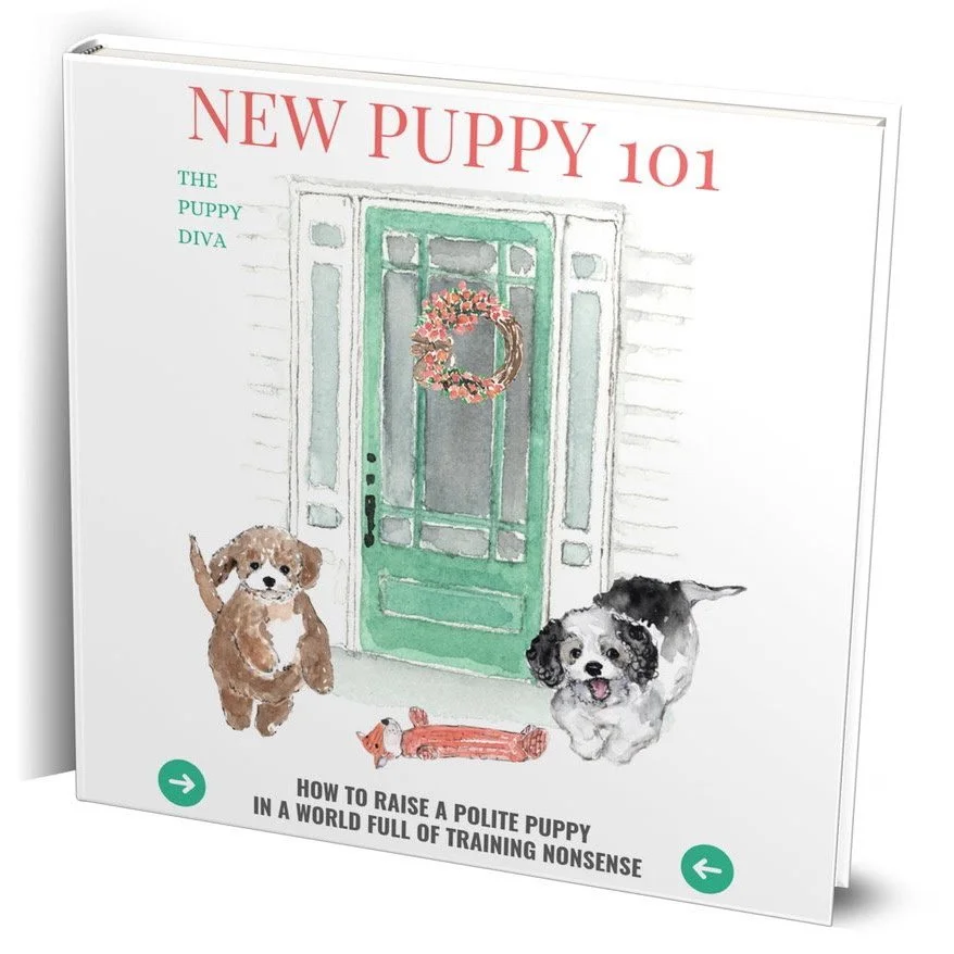 New Puppy Training 101