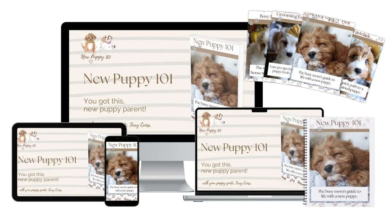 New Puppy 101 Course