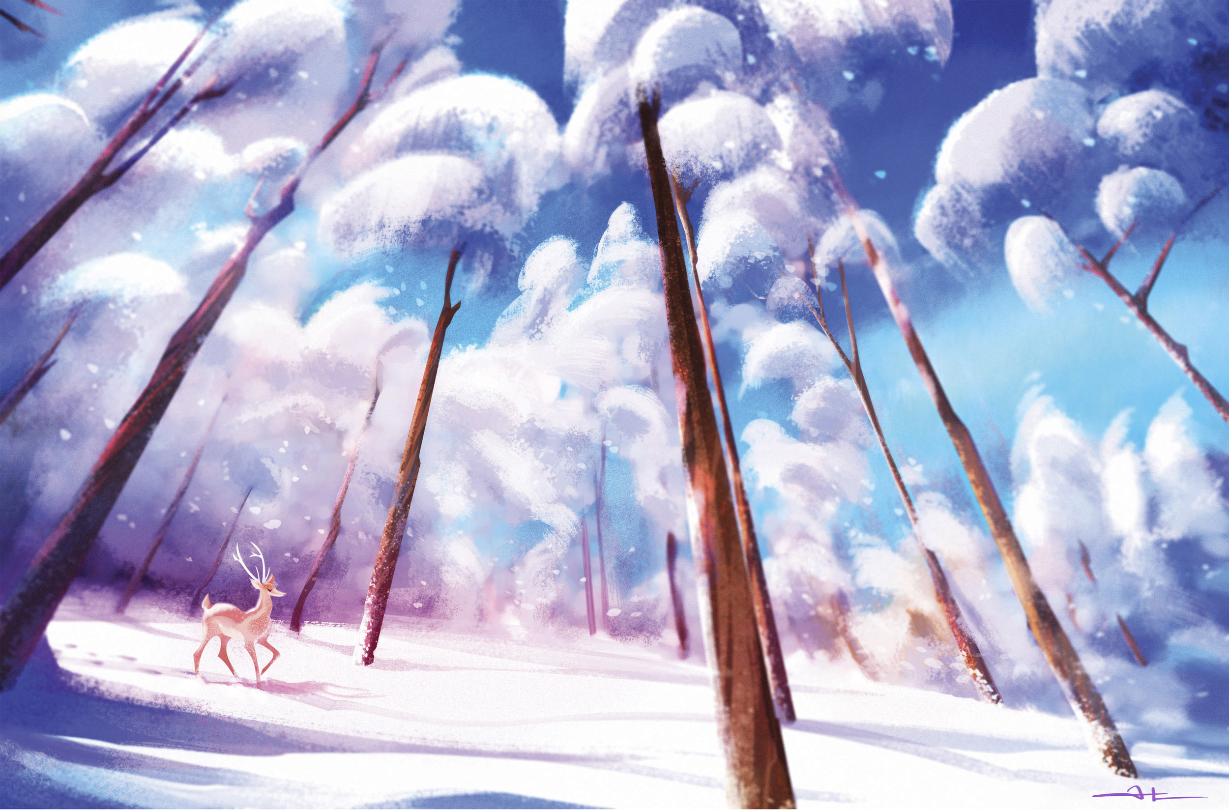 Winter fun