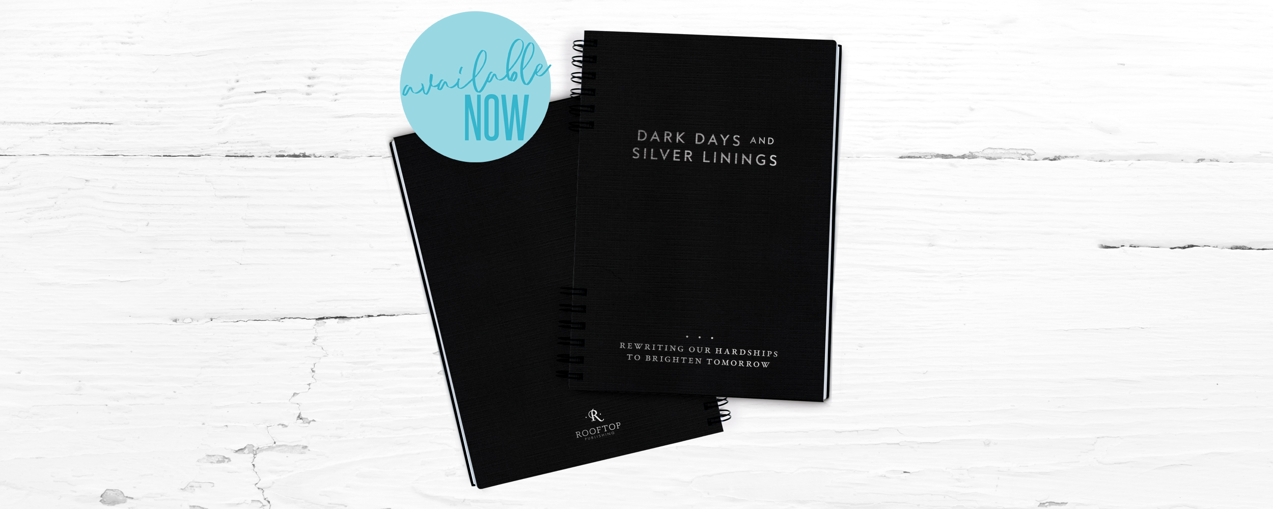 DarkDays_BookBanner.png