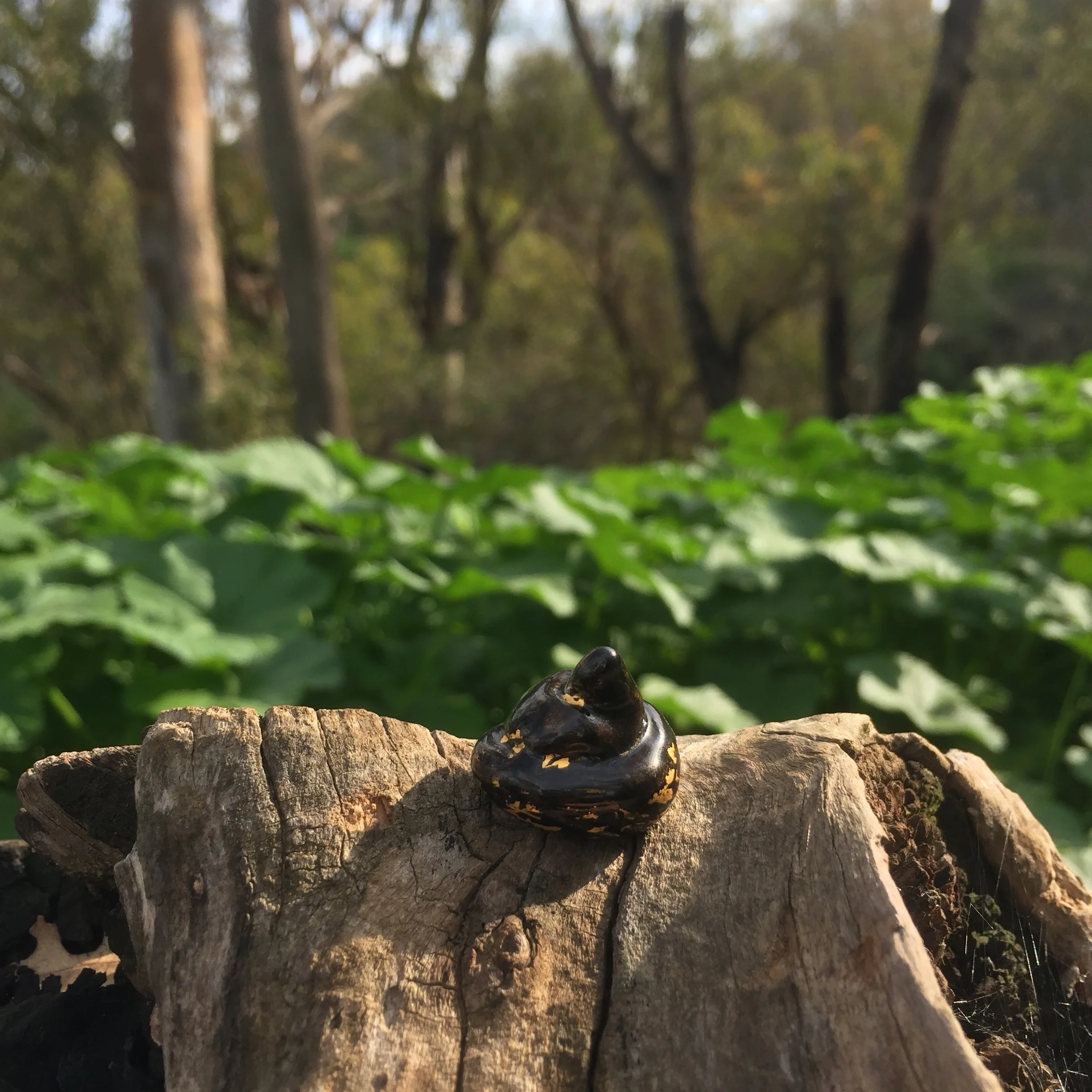 gold flecked itty bitty black shitty