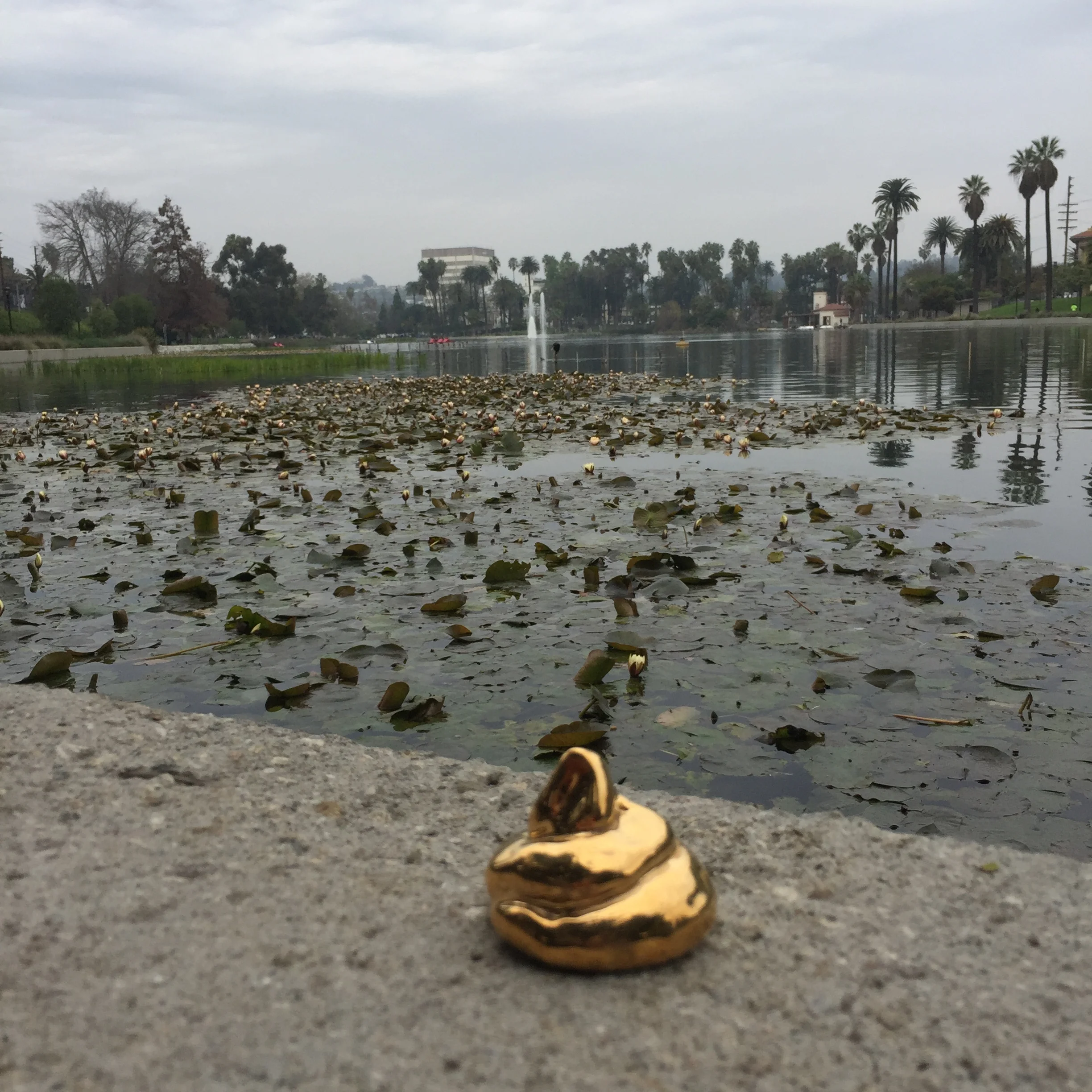 solid gold shit at the lake on a rainy day
