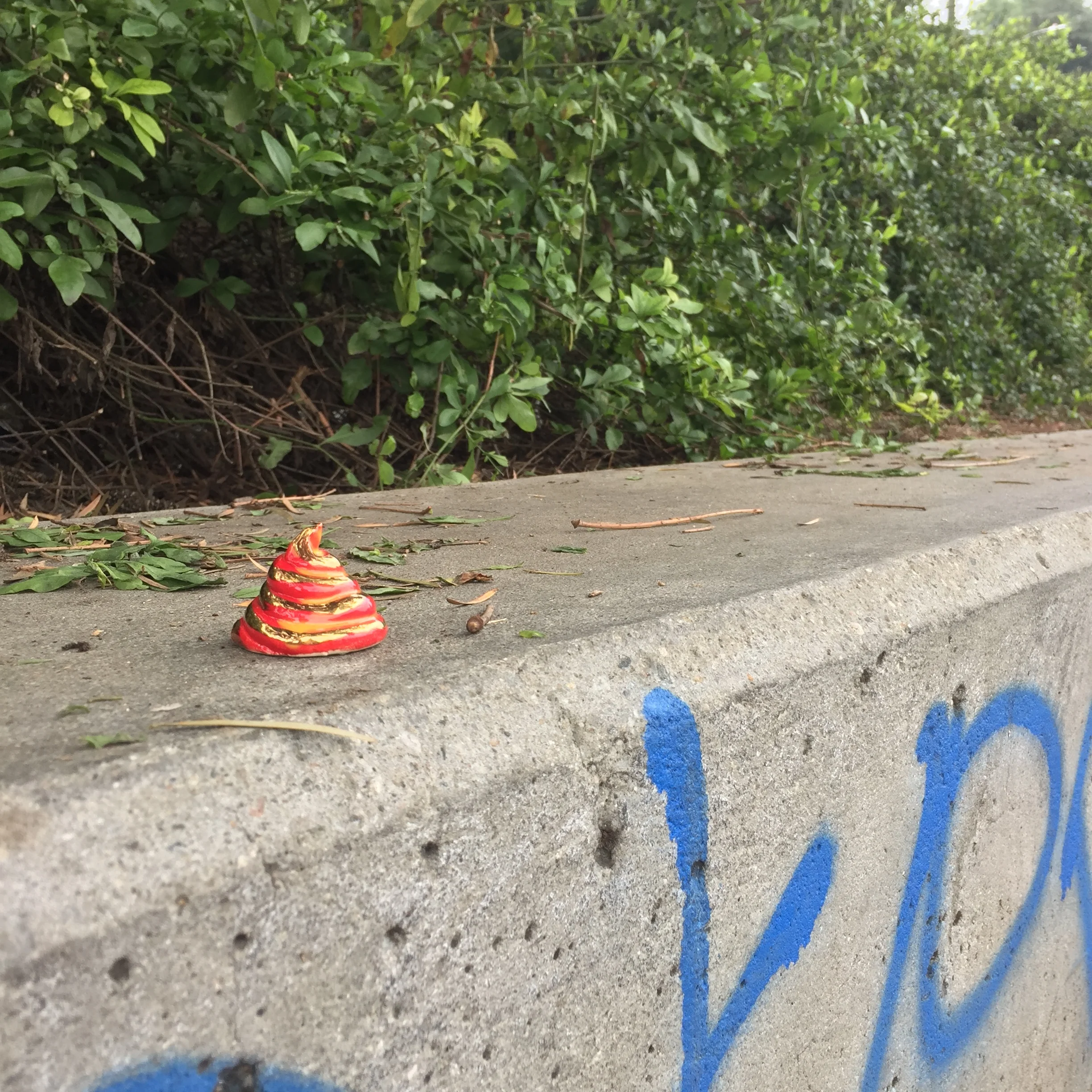 fancy red and gold striped shit at the lake