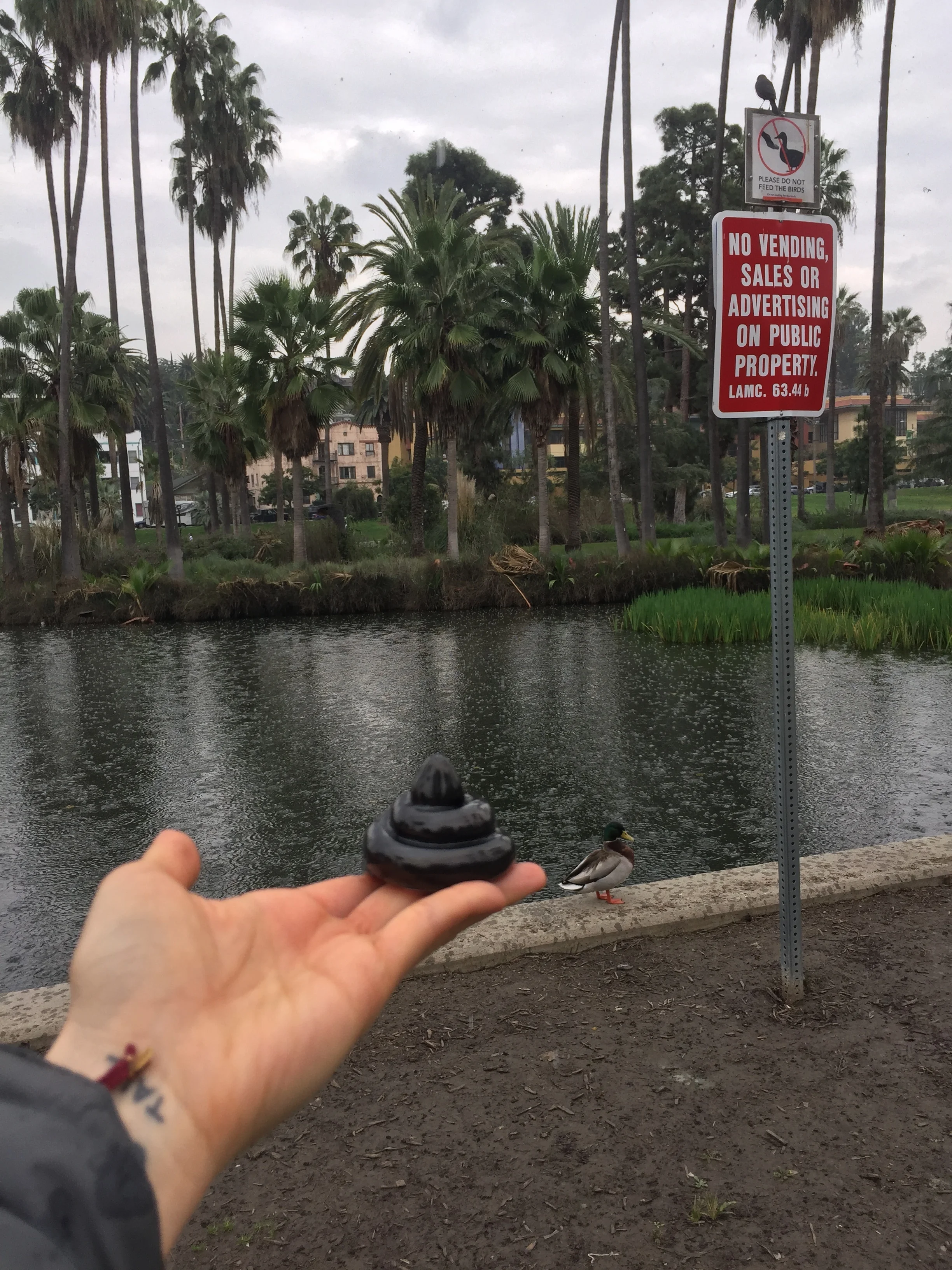  Solid black shit at the lake 2017 