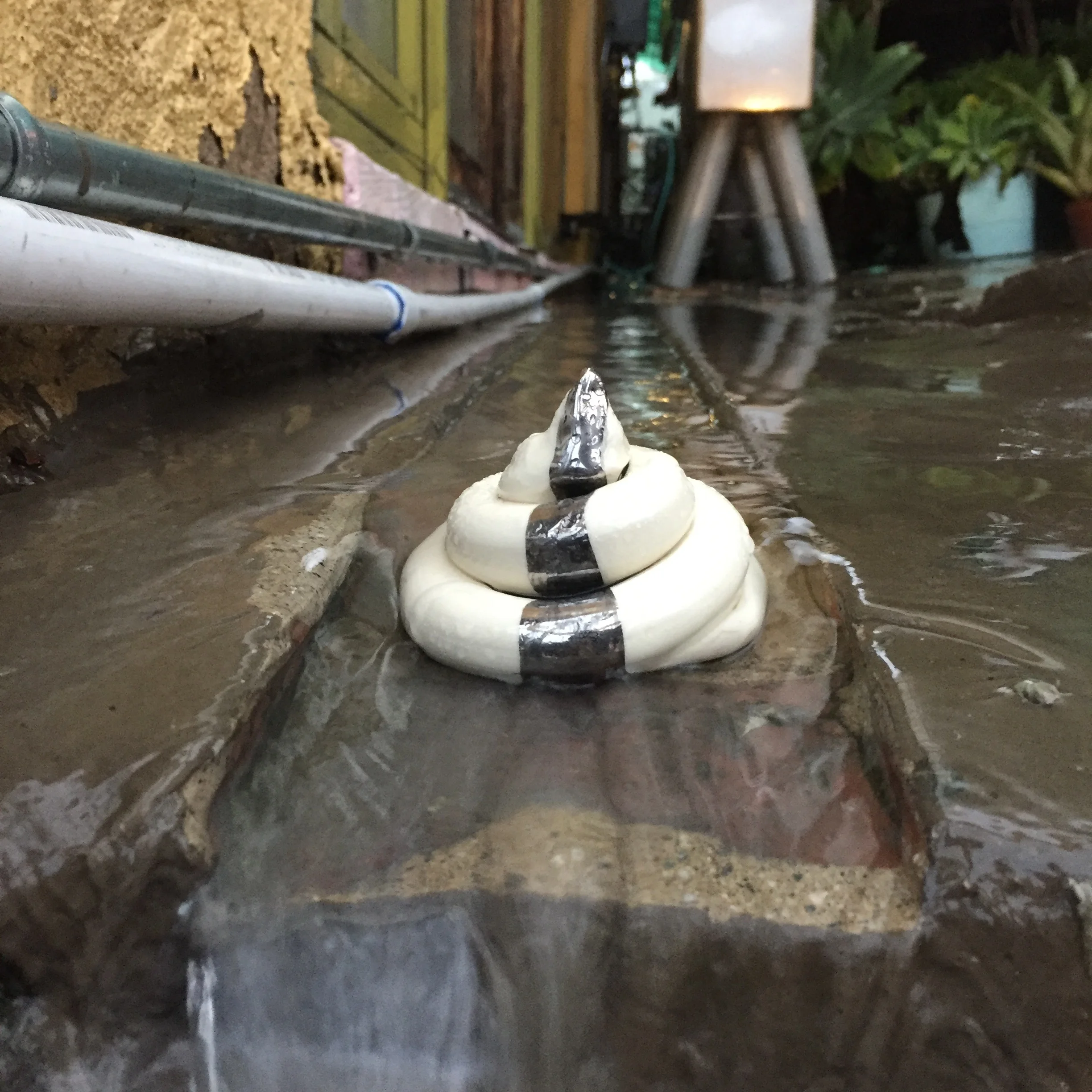 platinum lustered stripey shit