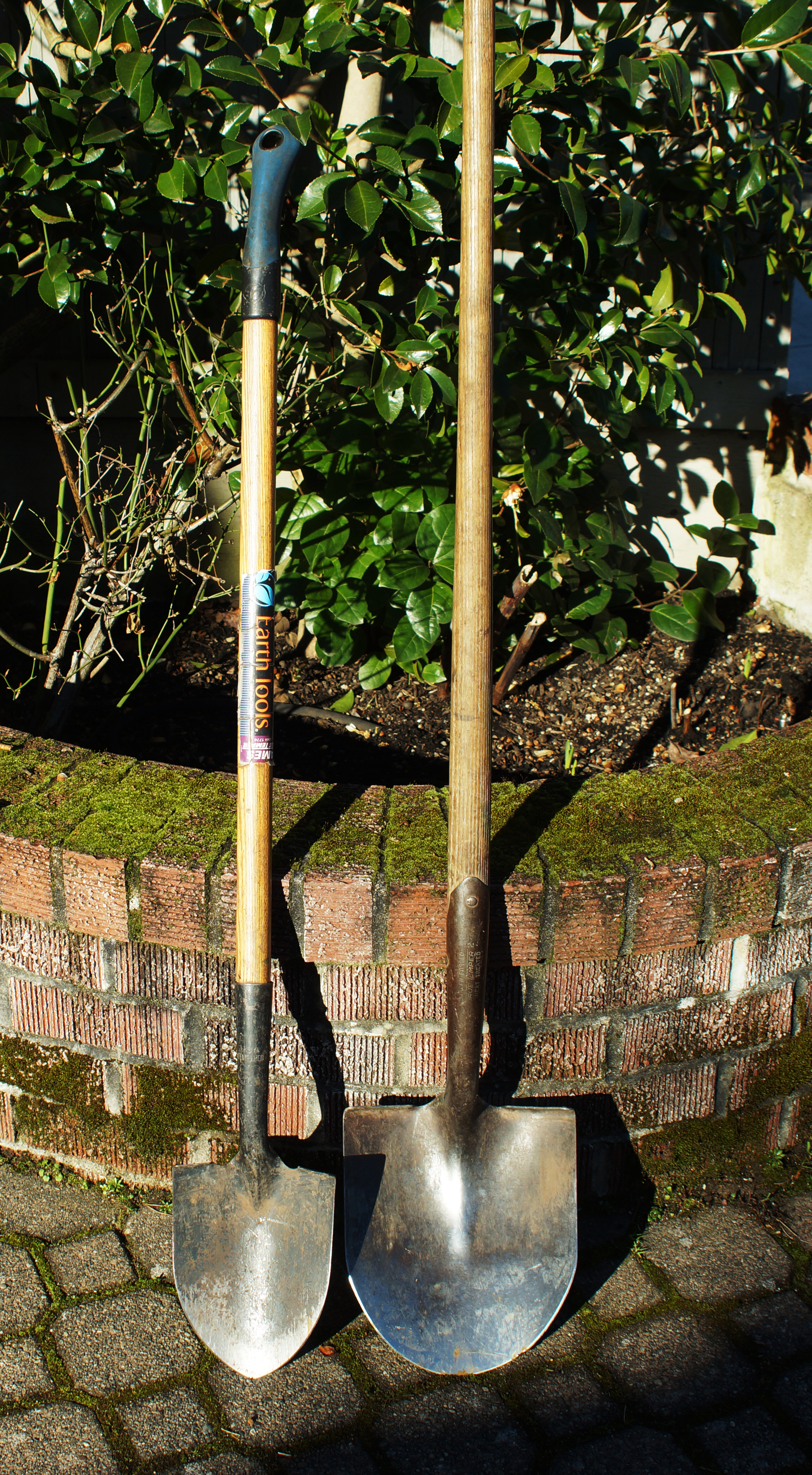 Floral shovel (left) has a smaller blade than a standard shovel, but a similar long handle.
