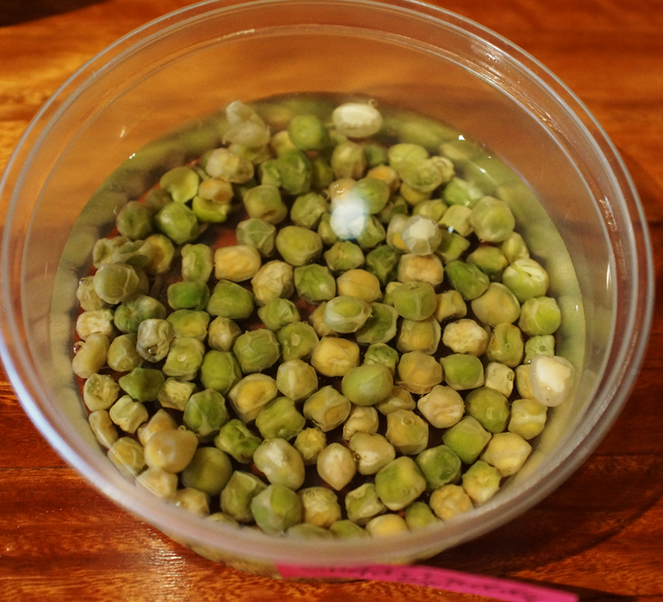 Peas during pre-soak.