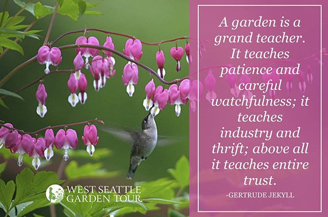 Indeed. #gardeningquotes #gardeninspiration #quotestoliveby
.
.
.
#quotes #quoteoftheday #gardenlife #westseattle #pnwgardening #gardening #urbangarden #instagardenlovers #gardensofinstagram #ilovegardening #westseattlegardentour