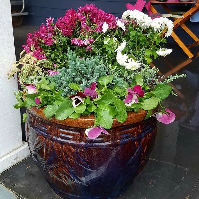 Containers, raised beds and window boxes are often chosen for their easy maintenance reputation or for limited garden spaces. The real truth is that their usefulness comes with its own heavy issues sooner or later. Read Vivian's tips on container mai