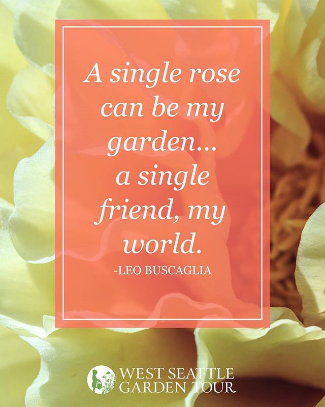 #gardeningquotes #gardeninspiration #quotestoliveby .
.
.
#quotes #quoteoftheday #gardenlife #westseattle #pnwgardening #gardening #urbangarden #instagardenlovers #gardensofinstagram #ilovegardening #westseattlegardentour