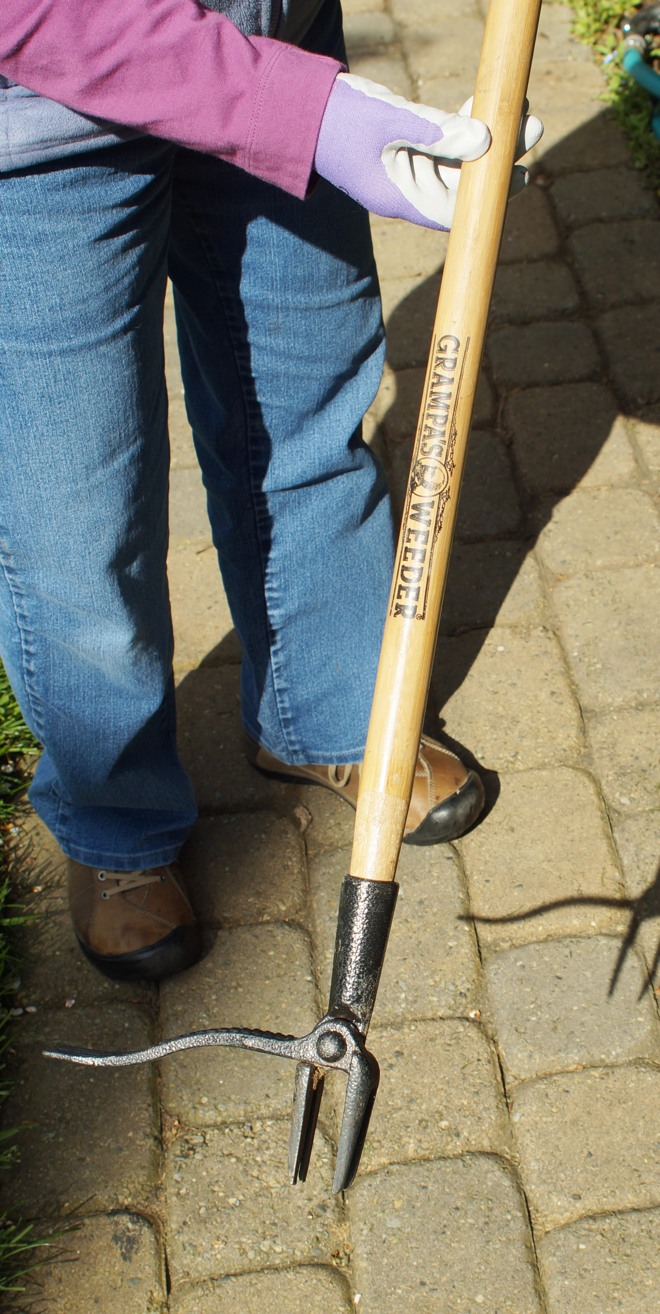 Dandelion Digger_1.jpg