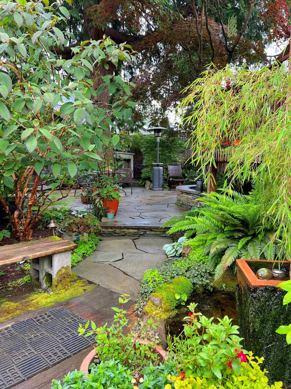 real pics West Seattle Garden Tour amazing