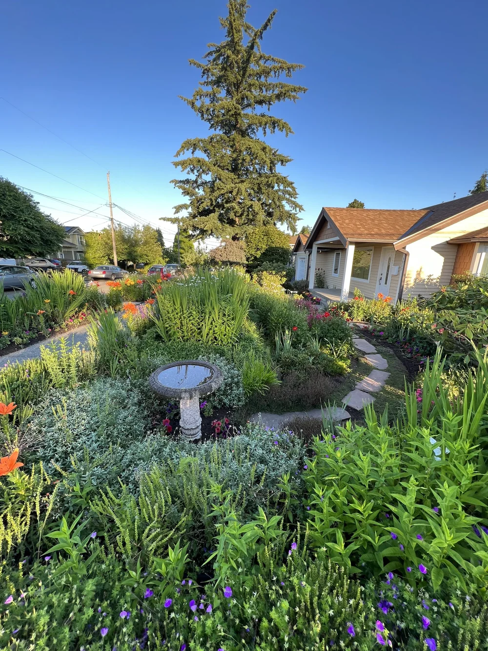 Best HD Pictures about  West Seattle Garden Tour  - No AI Images