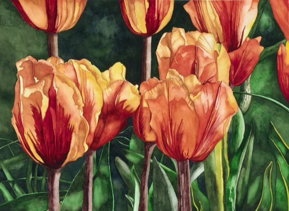 Princess Poney_lowres.png