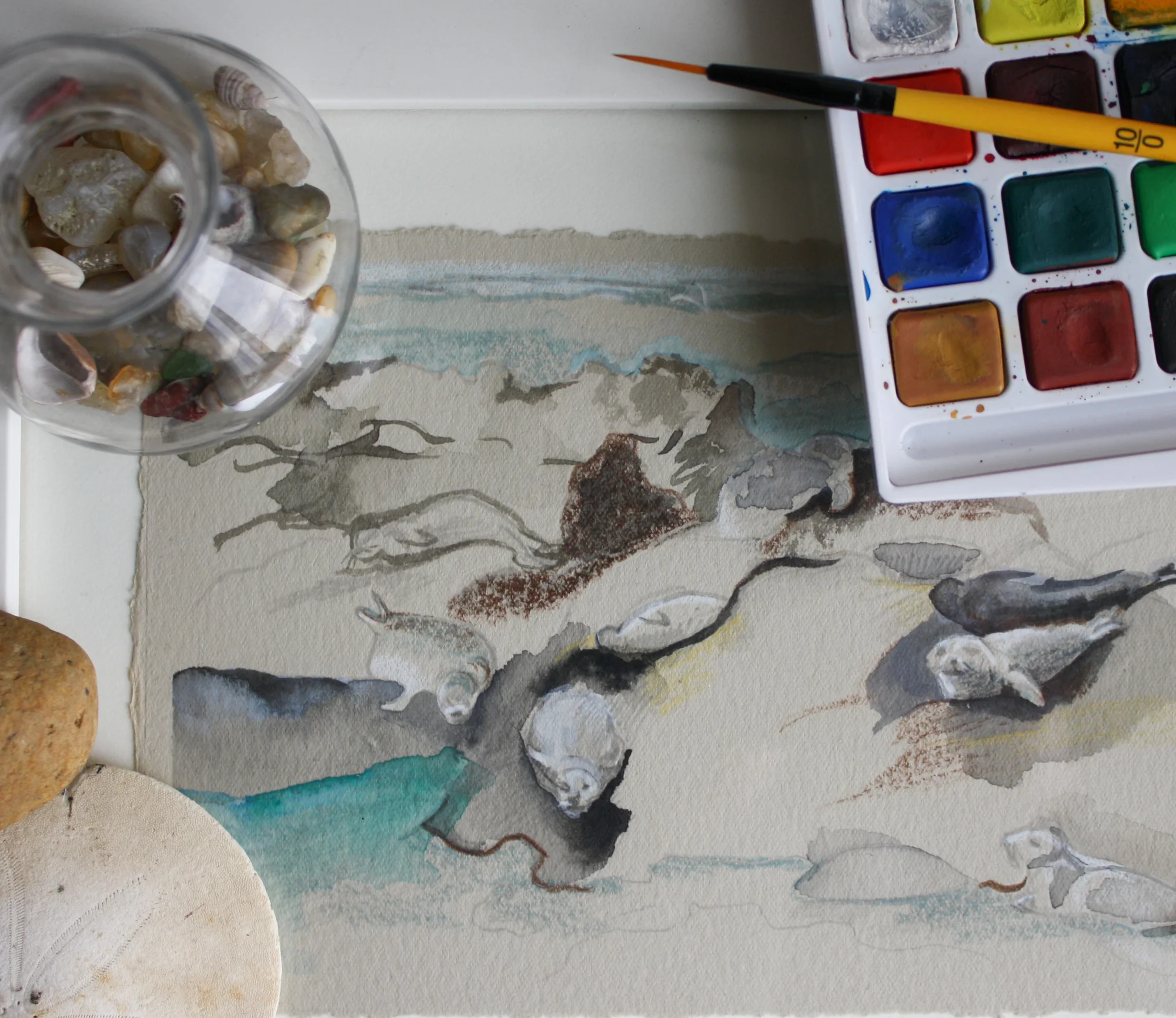 Detail : Seals at Strawberry Hill