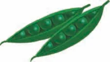 green beans 2.jpg