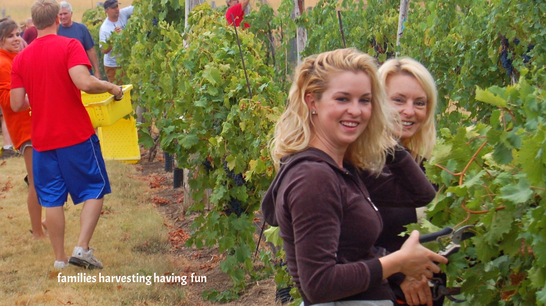  Harvest gets everyone involved for a good time 