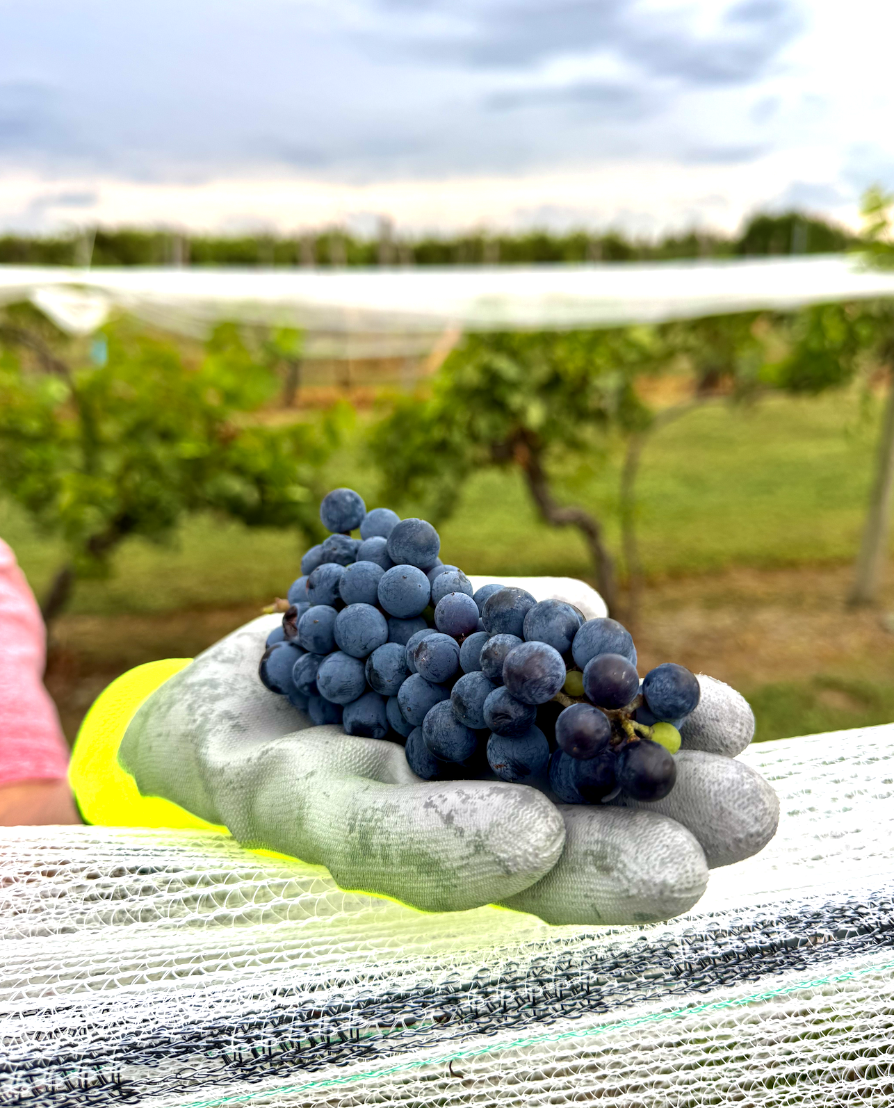 Screenshot 2025-08-28 at 9.32.34 PM.png