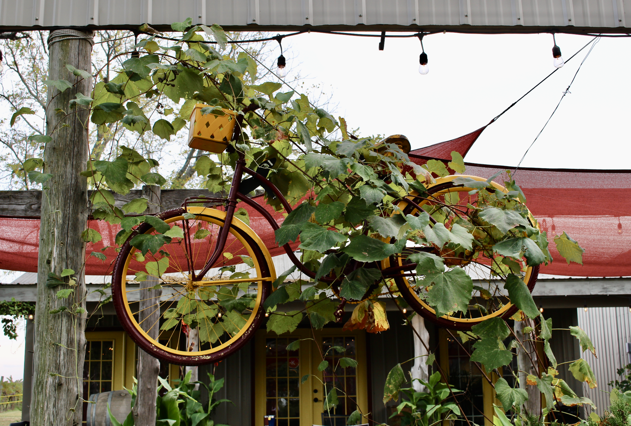 Screenshot 2025-10-30 at 8.17.01 PM.png