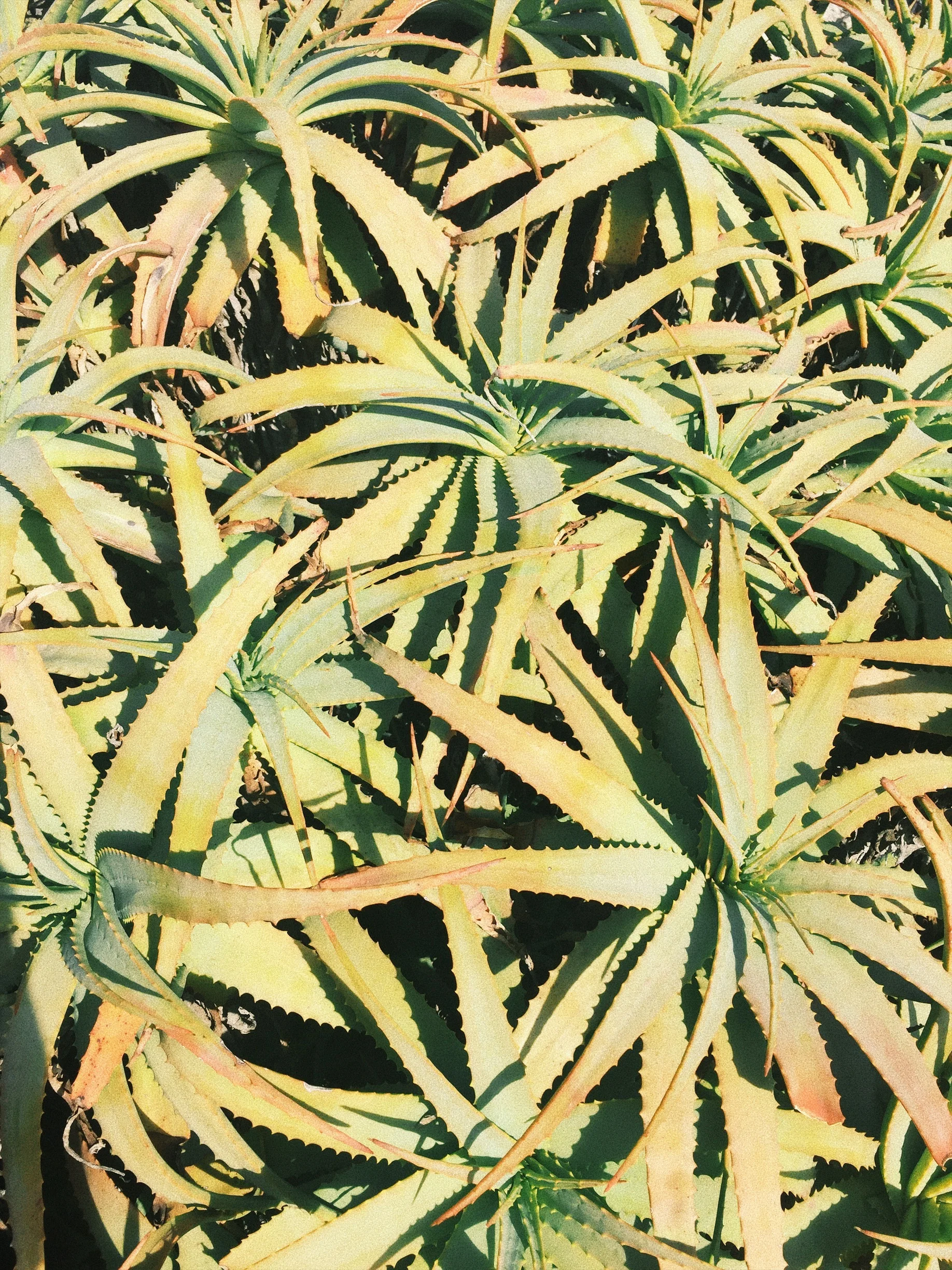XGXD0962.jpg