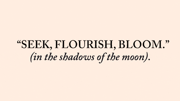 seek-flourish-bloom-title-1.gif