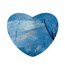blue heart.jpeg