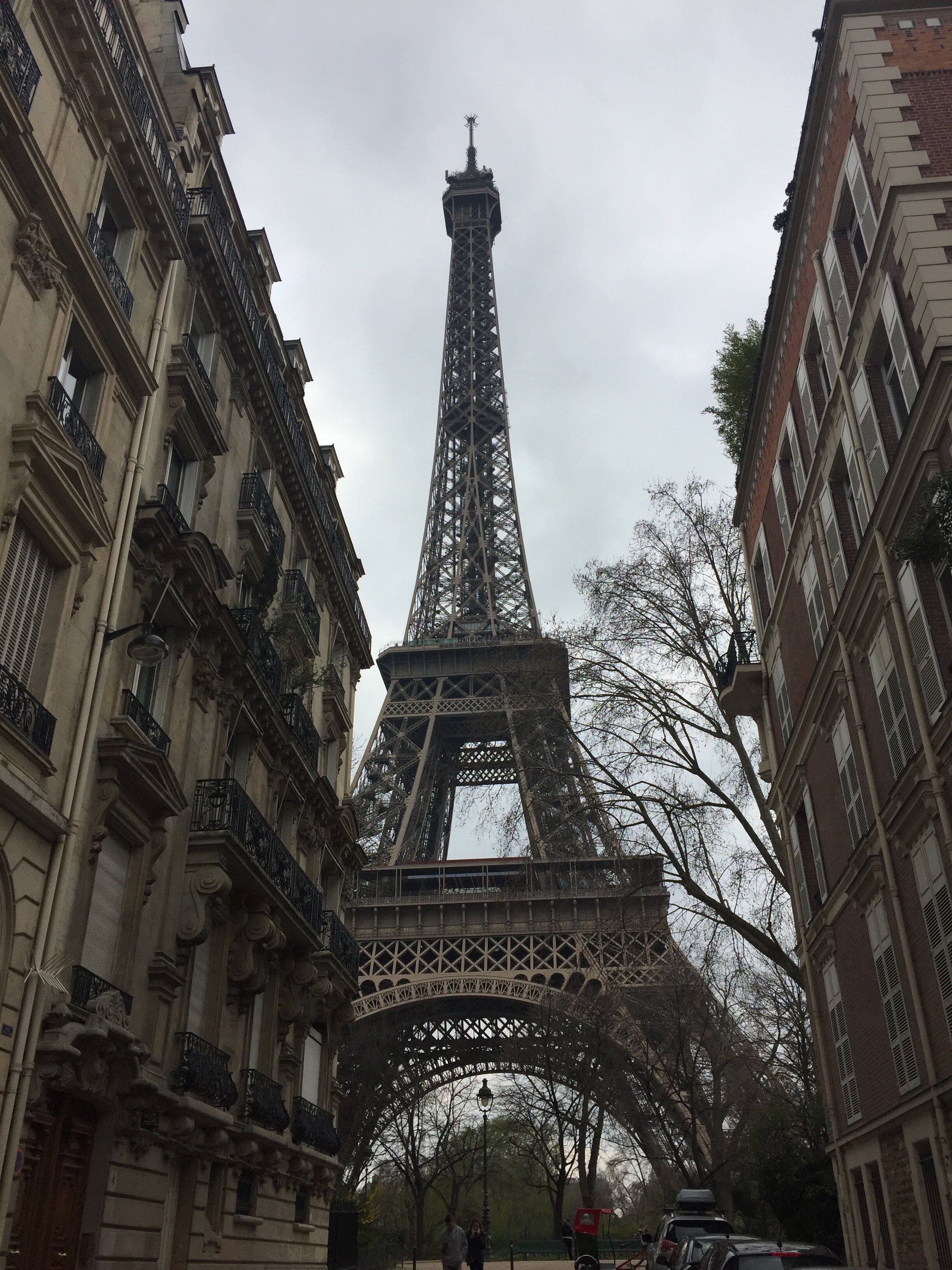 IMG_2847.jpeg