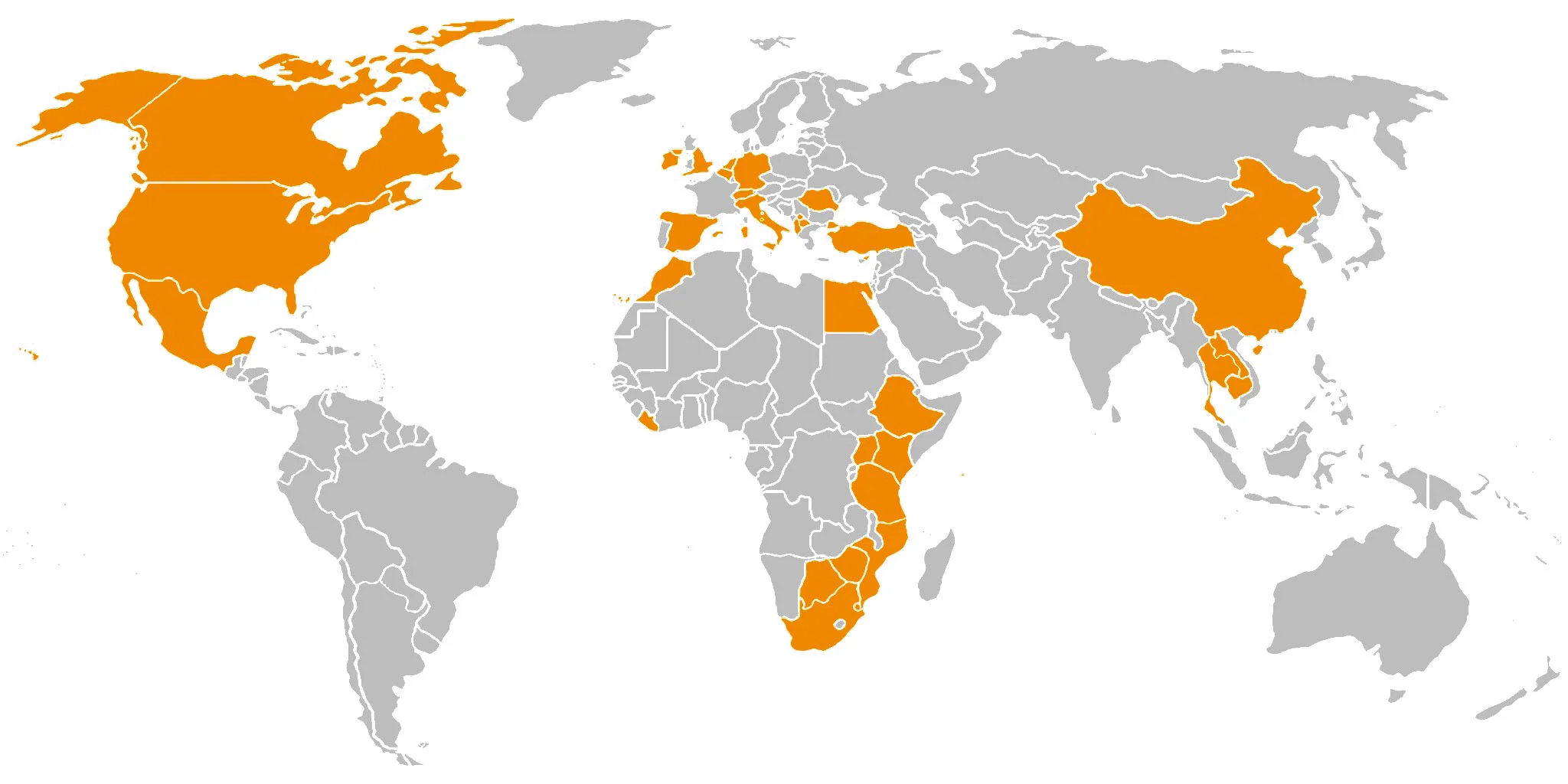 world map.jpg