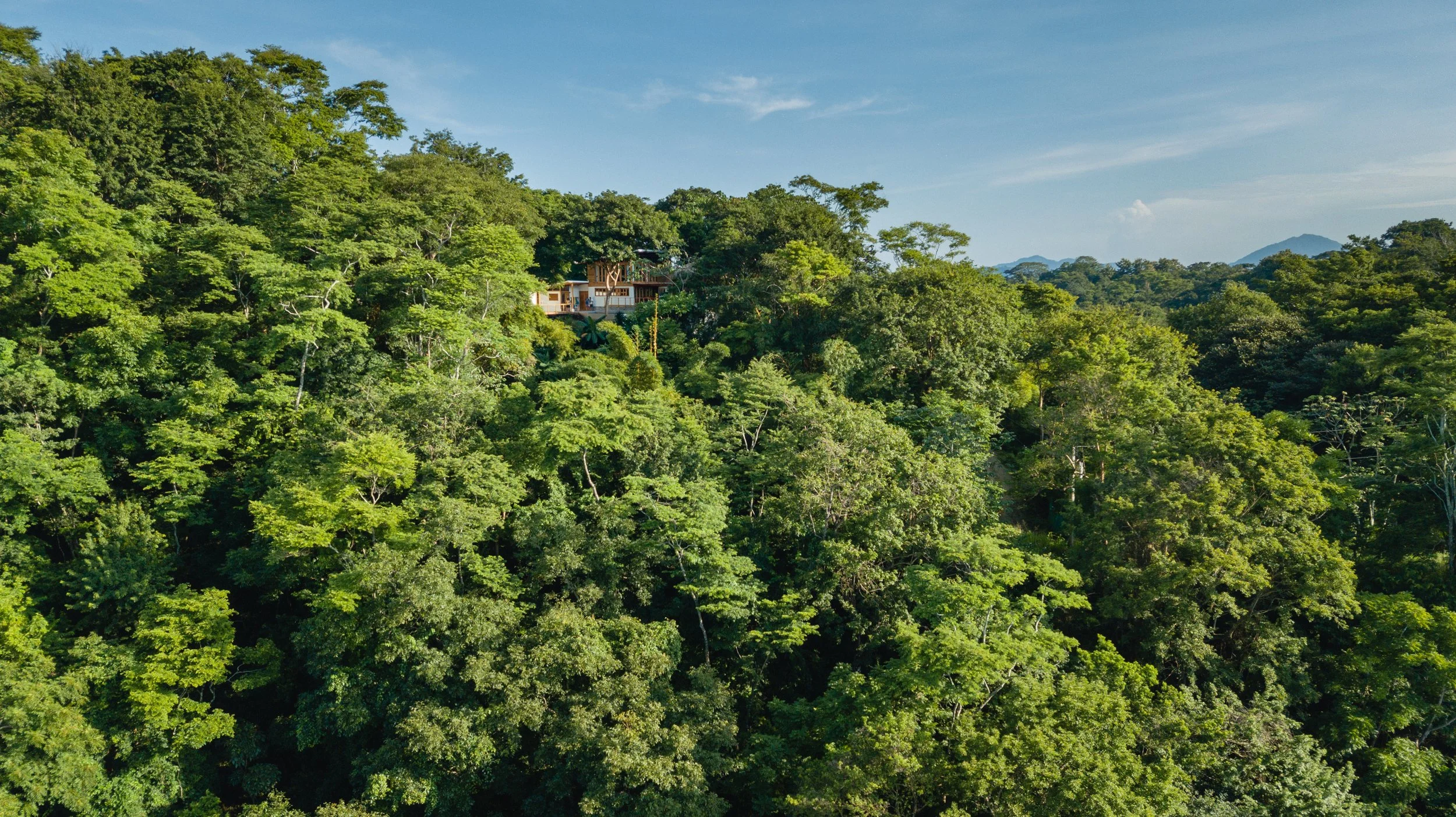 DJI_0826.jpg