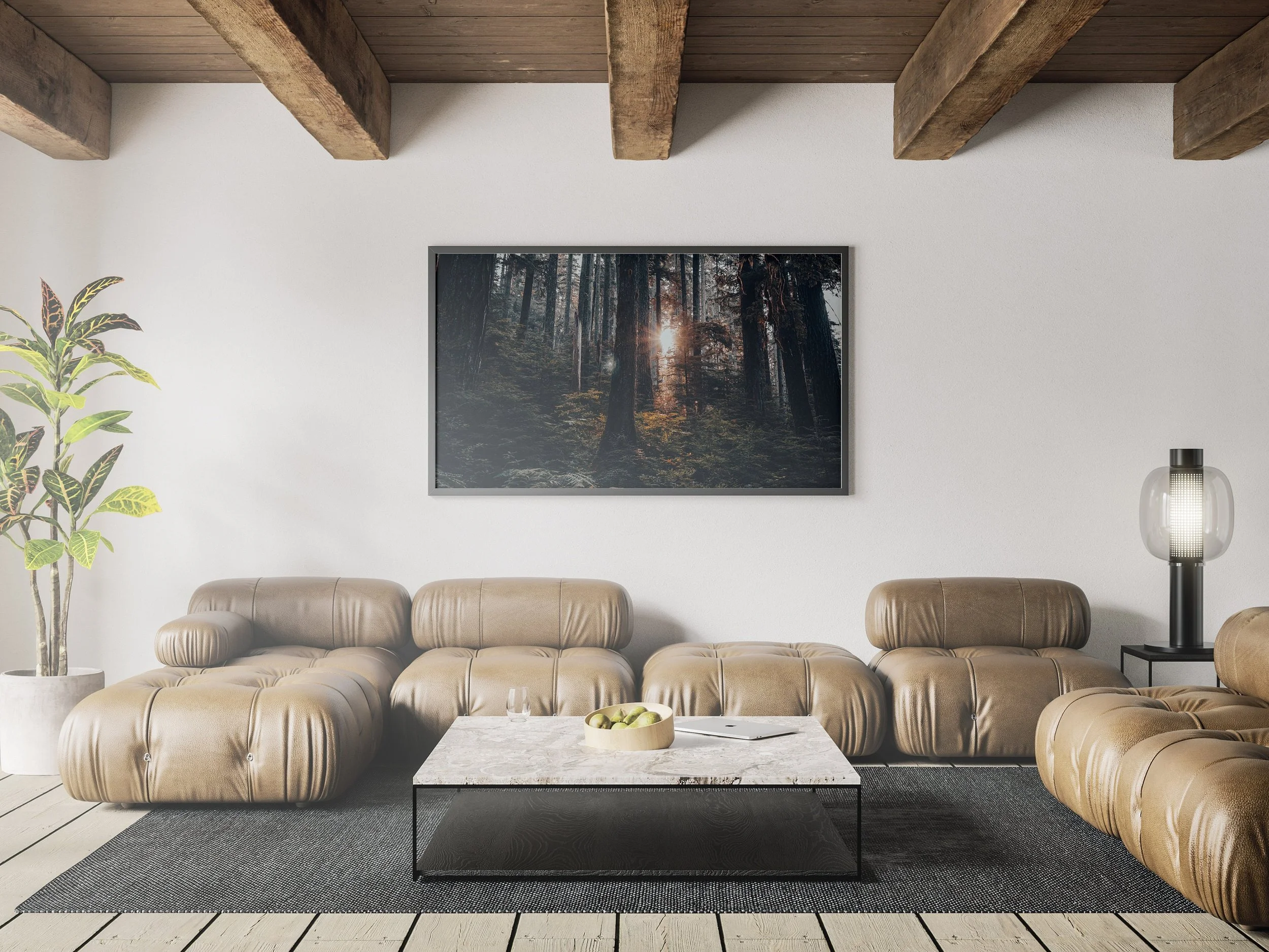 https://i.etsystatic.com/34522131/r/il/17bd37/3785899495/il_fullxfull.3785899495_jez4.jpg