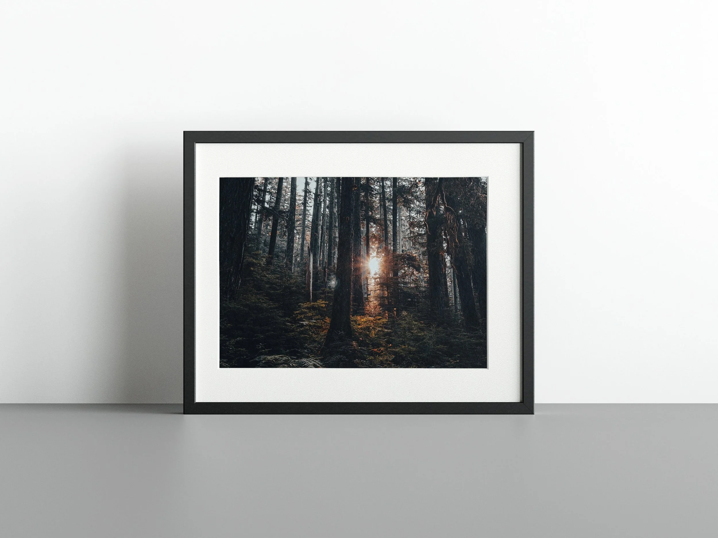 https://i.etsystatic.com/34522131/r/il/7408bc/3785899421/il_fullxfull.3785899421_ipsz.jpg
