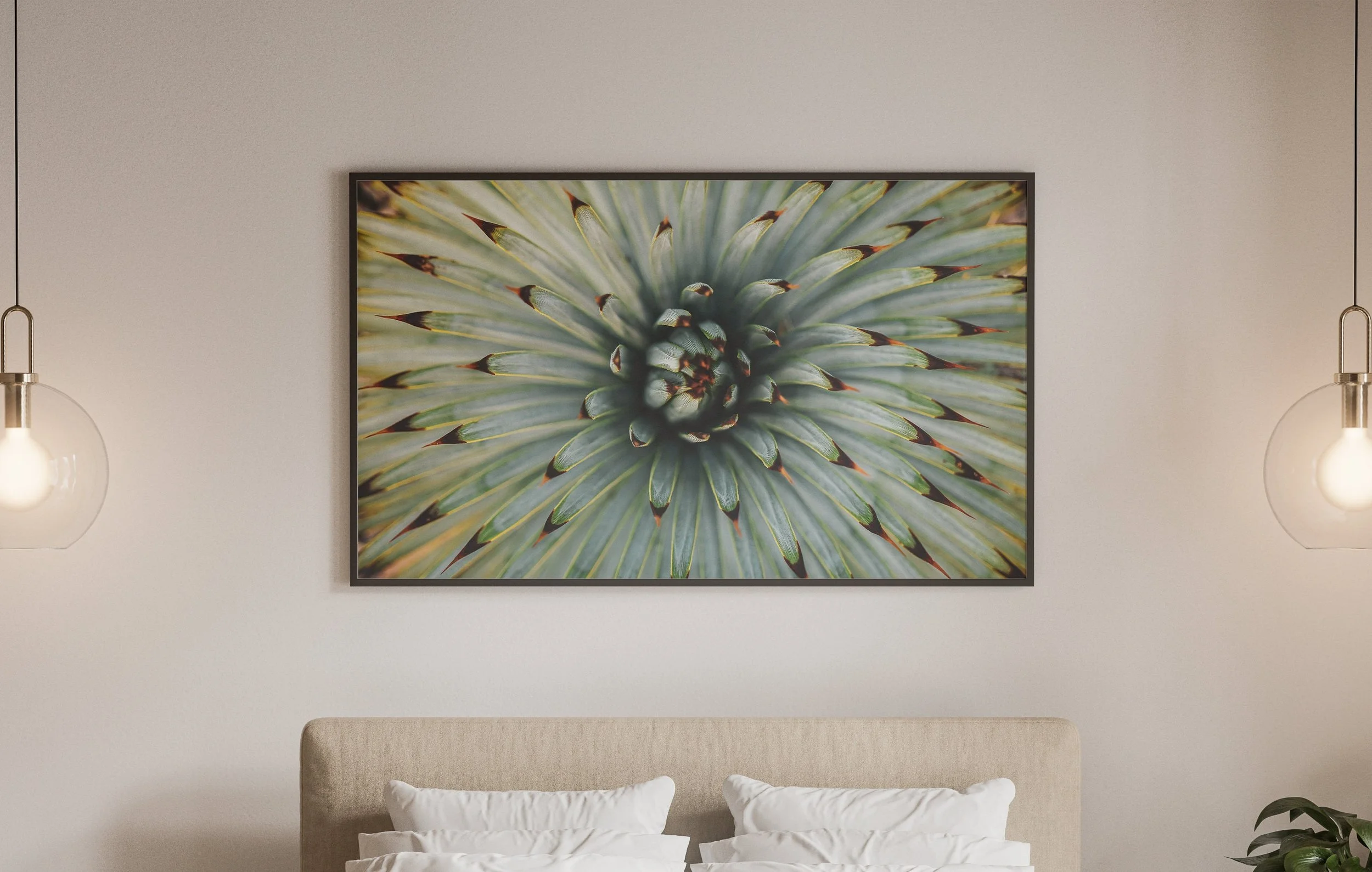 https://i.etsystatic.com/34522131/r/il/7274aa/3735074492/il_fullxfull.3735074492_qgie.jpg