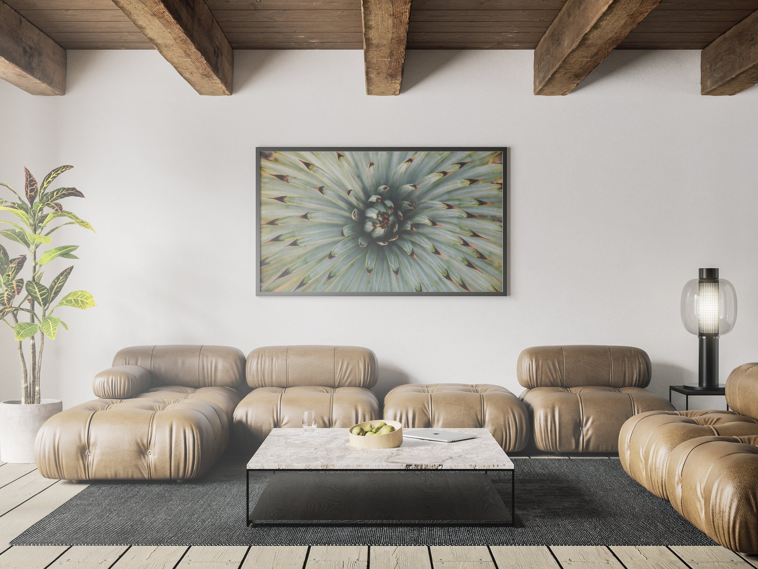 https://i.etsystatic.com/34522131/r/il/2298ee/3782663595/il_fullxfull.3782663595_muu3.jpg