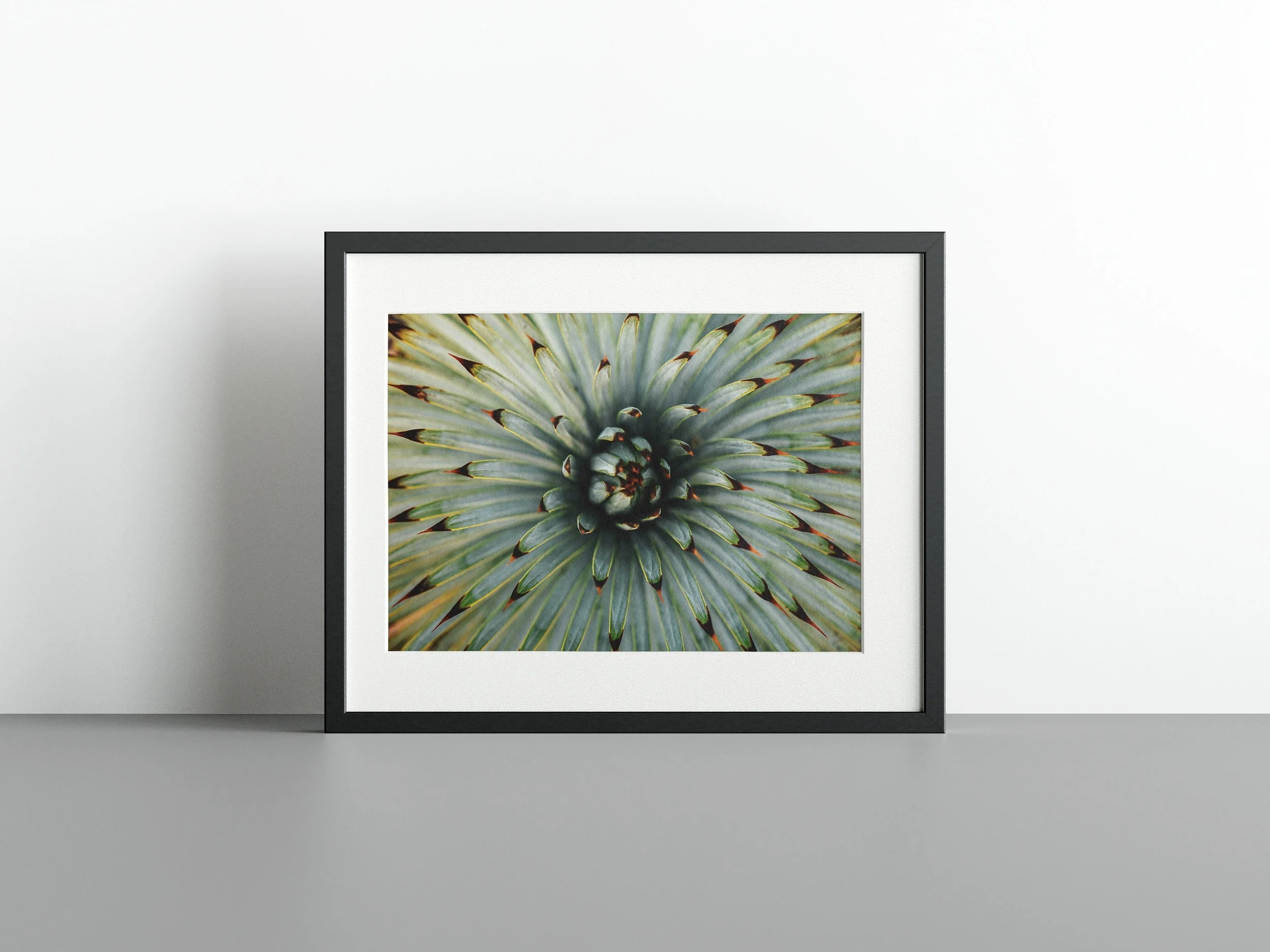 https://i.etsystatic.com/34522131/r/il/961fbf/3735074610/il_fullxfull.3735074610_6ghm.jpg
