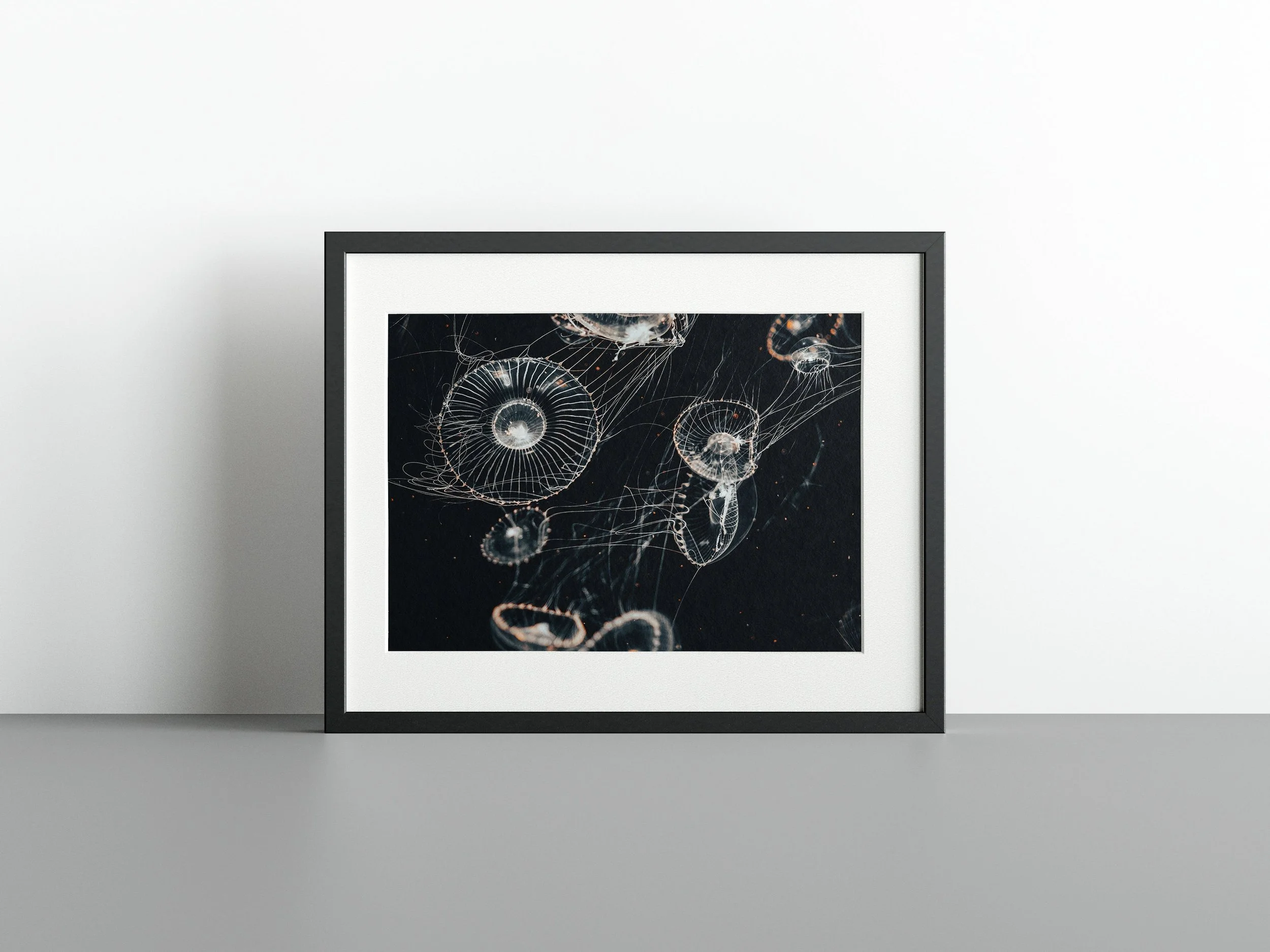https://i.etsystatic.com/34522131/r/il/27f96b/3785075043/il_fullxfull.3785075043_9oh2.jpg