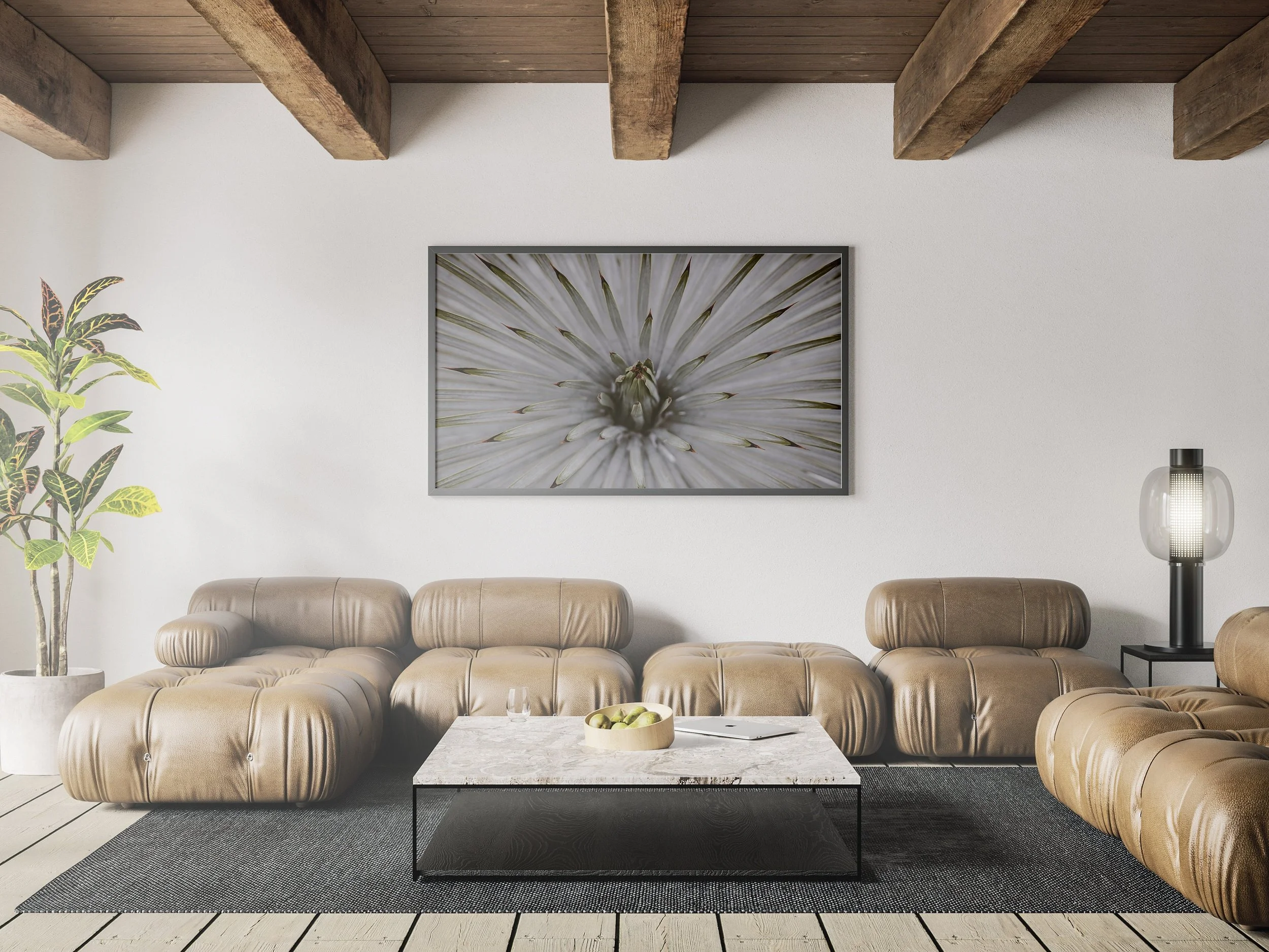 https://i.etsystatic.com/34522131/r/il/d6586f/3738404700/il_fullxfull.3738404700_nd3x.jpg